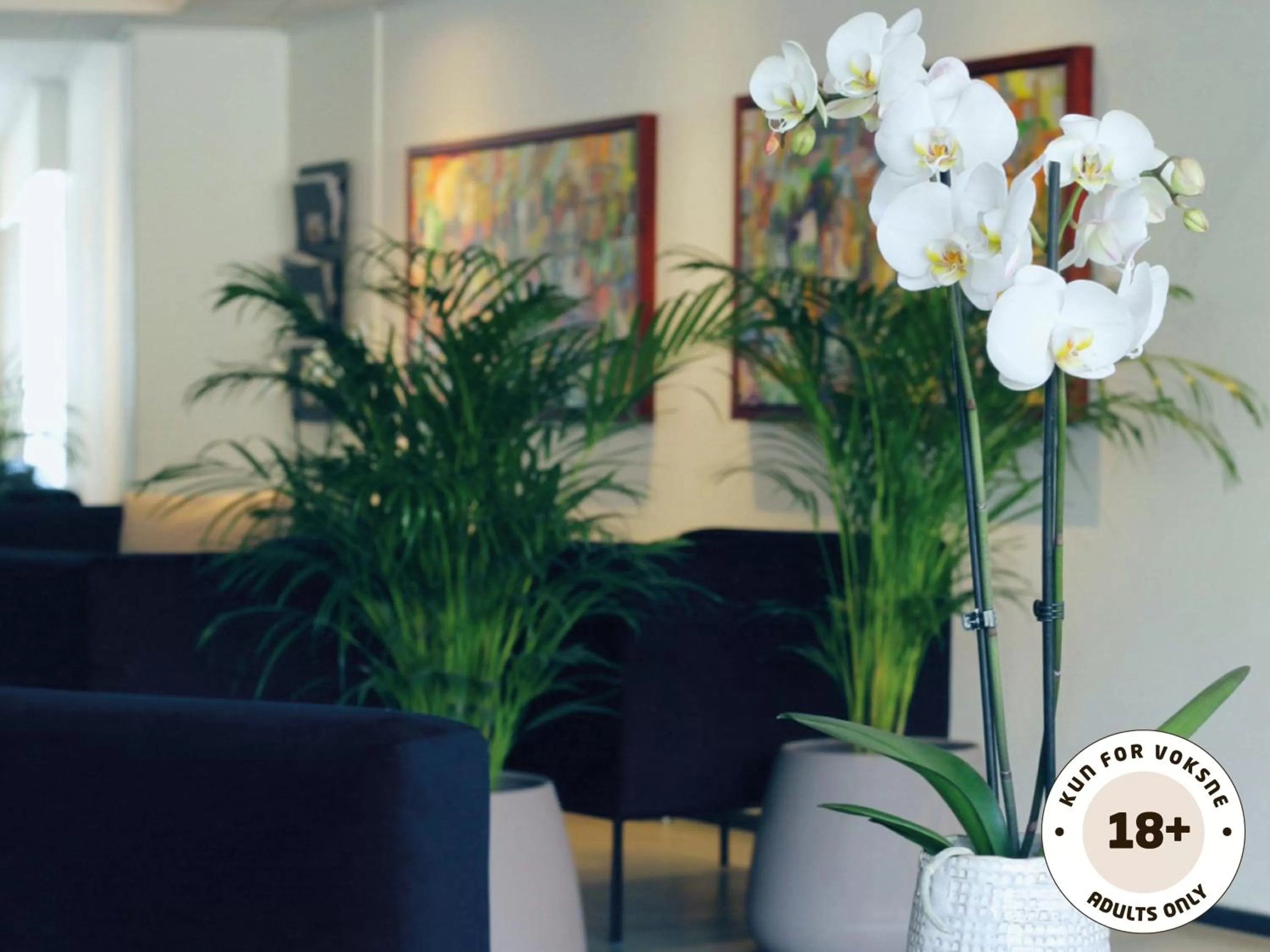 Lobby or reception in Ærø Hotel - Adults only