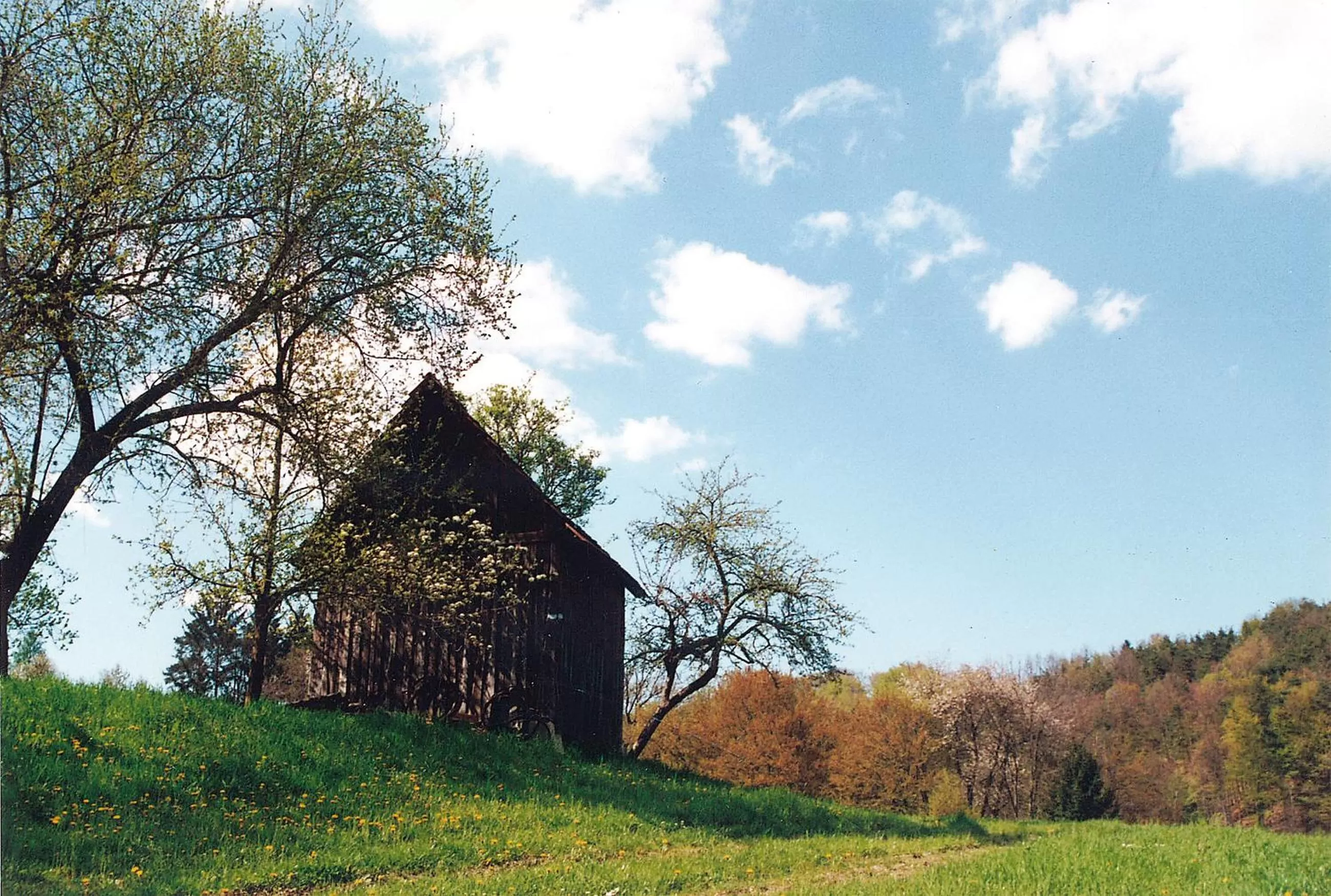 Landhaus Waldfrieden