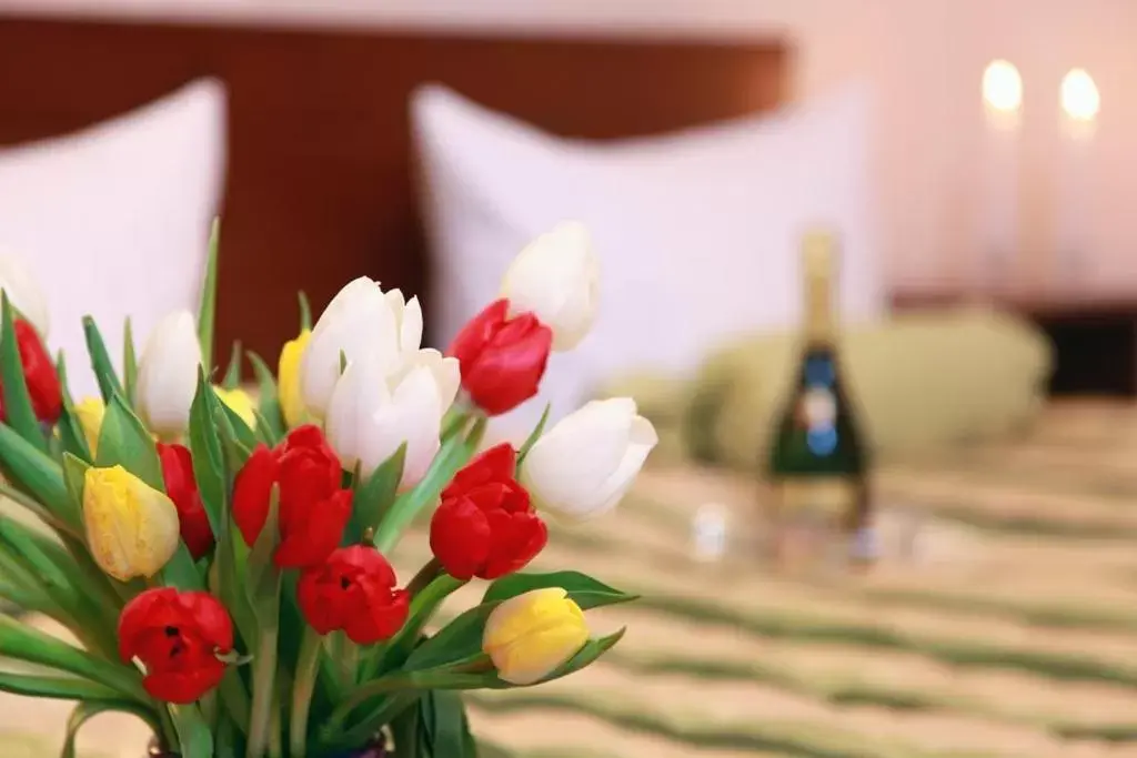 Comfort Double or Twin Room in Hotel Central Inn am Hauptbahnhof Pension Comfort Double or Twin Room in Hotel Central Inn am Hauptbahnhof Pension