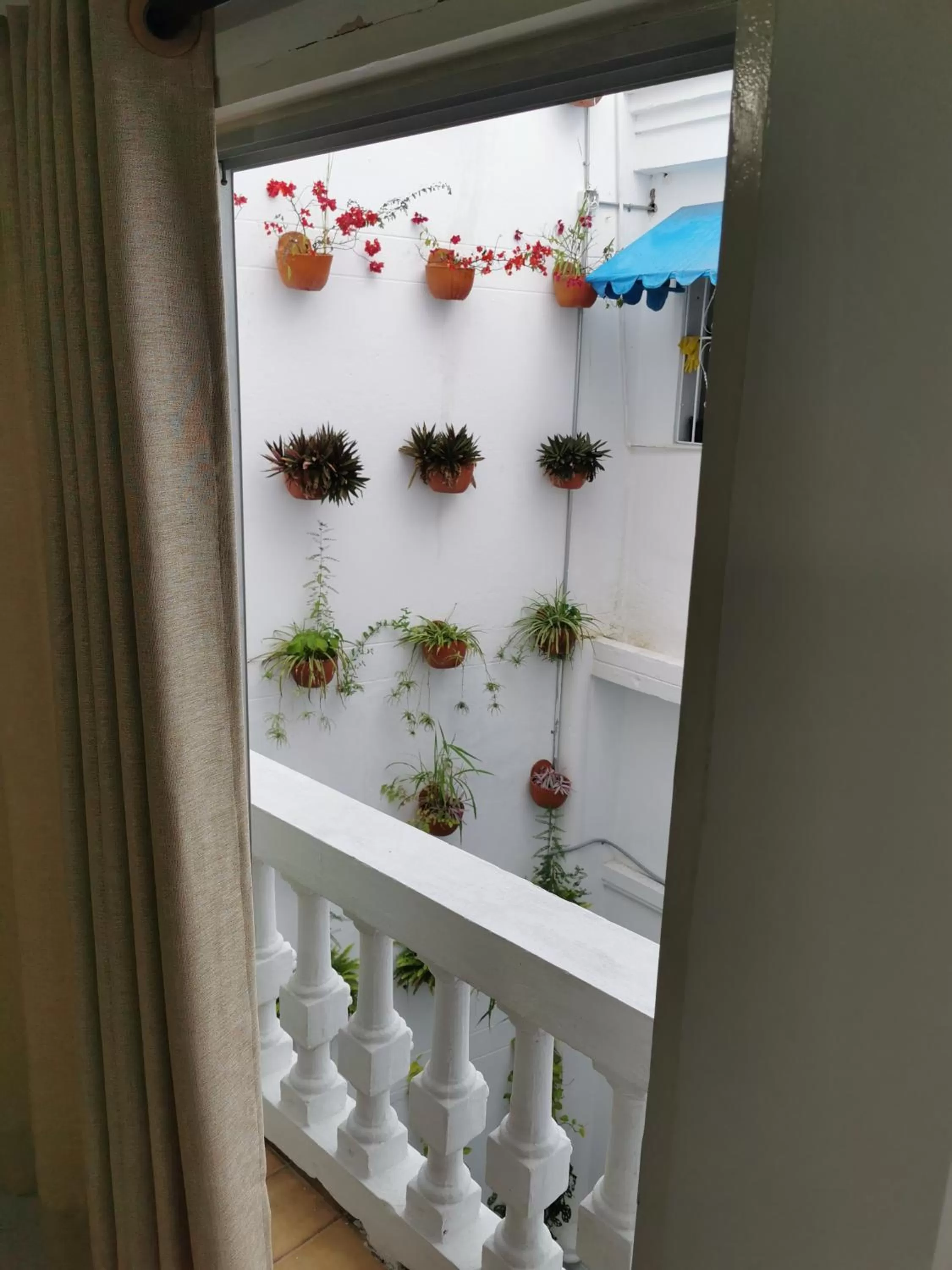 Garden view in Luka Cartagena Hotel