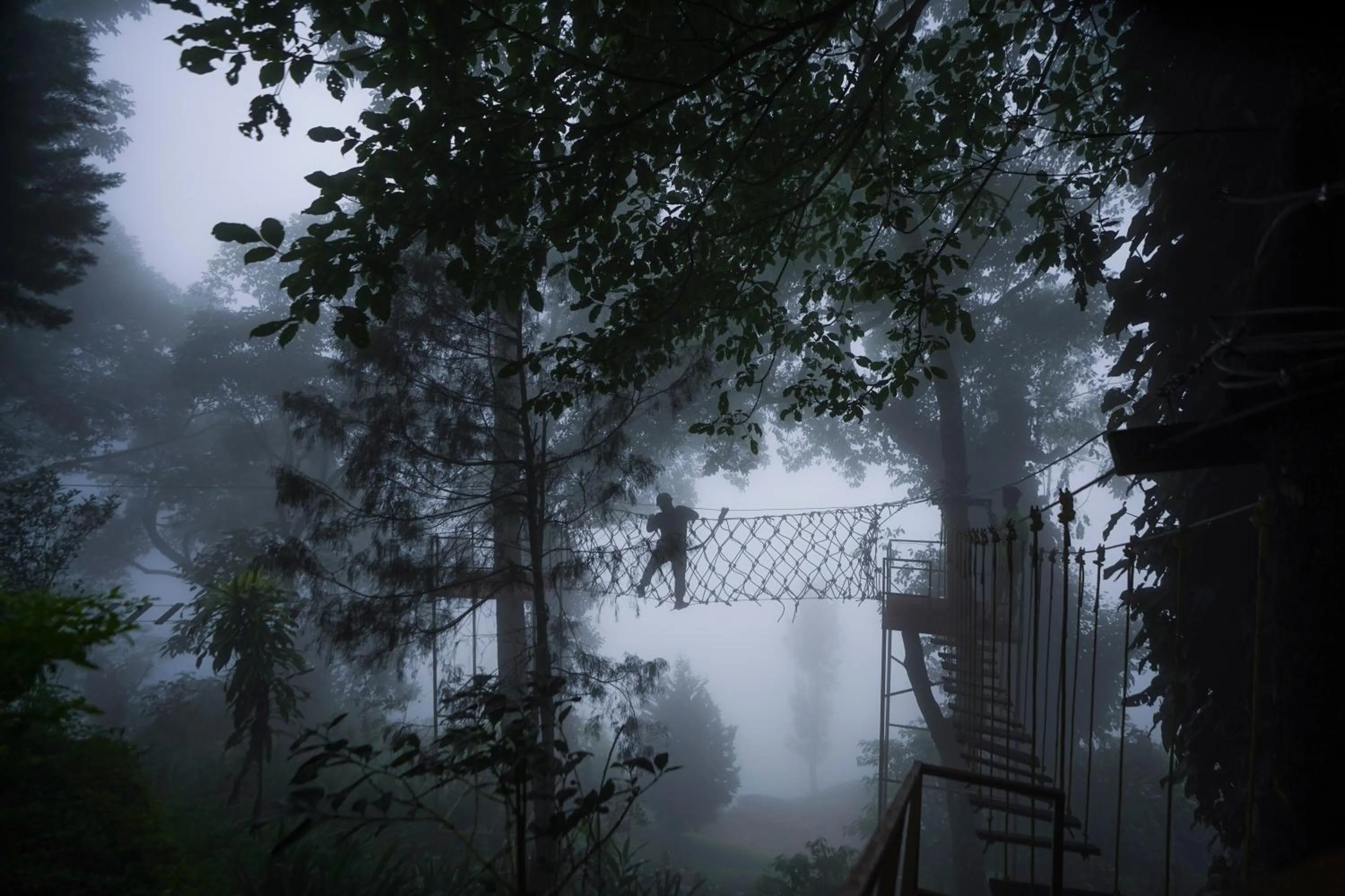 Activities in Tea Valley Resort, Munnar