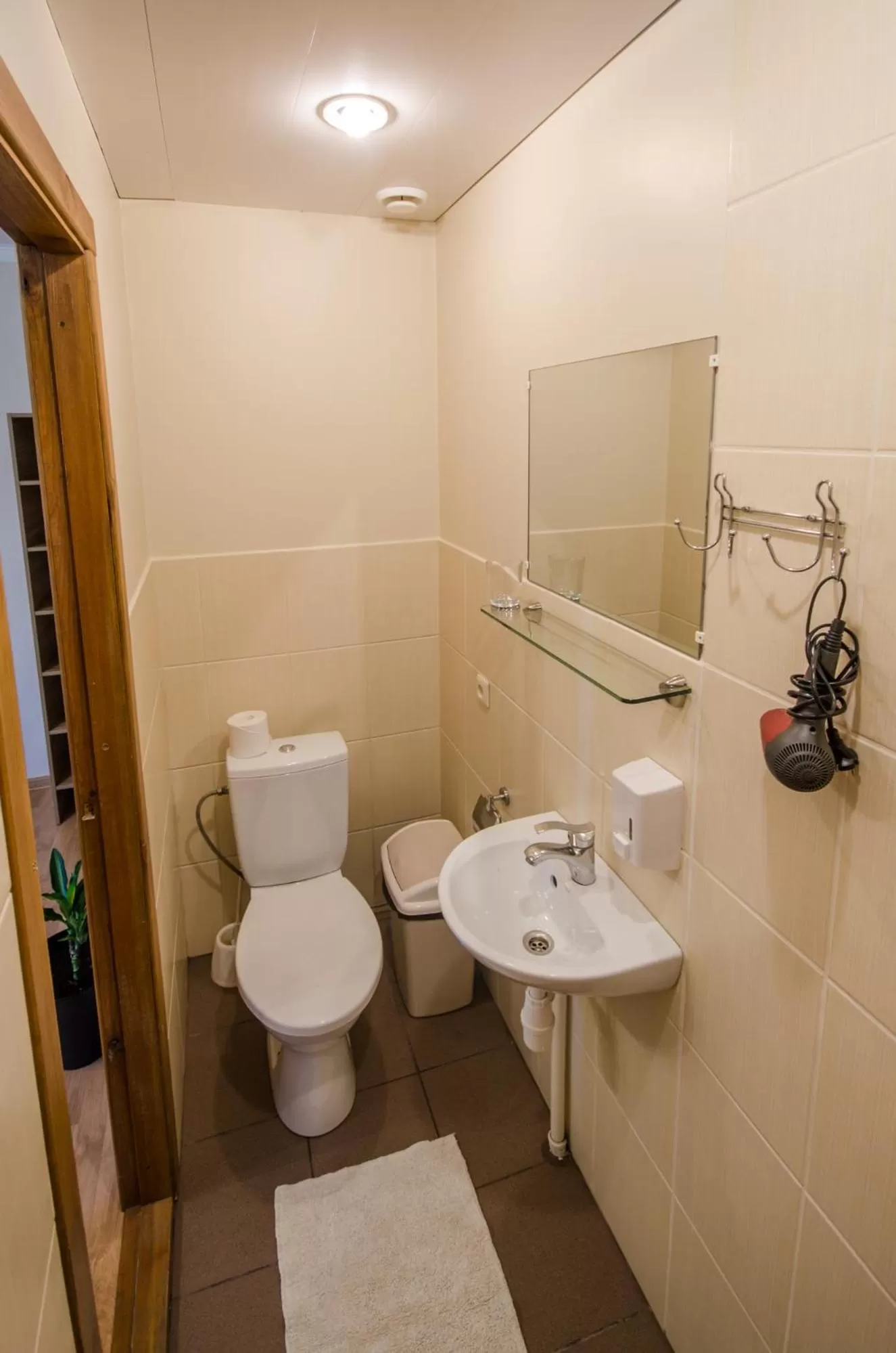 Toilet, Bathroom in Veldzes Nams