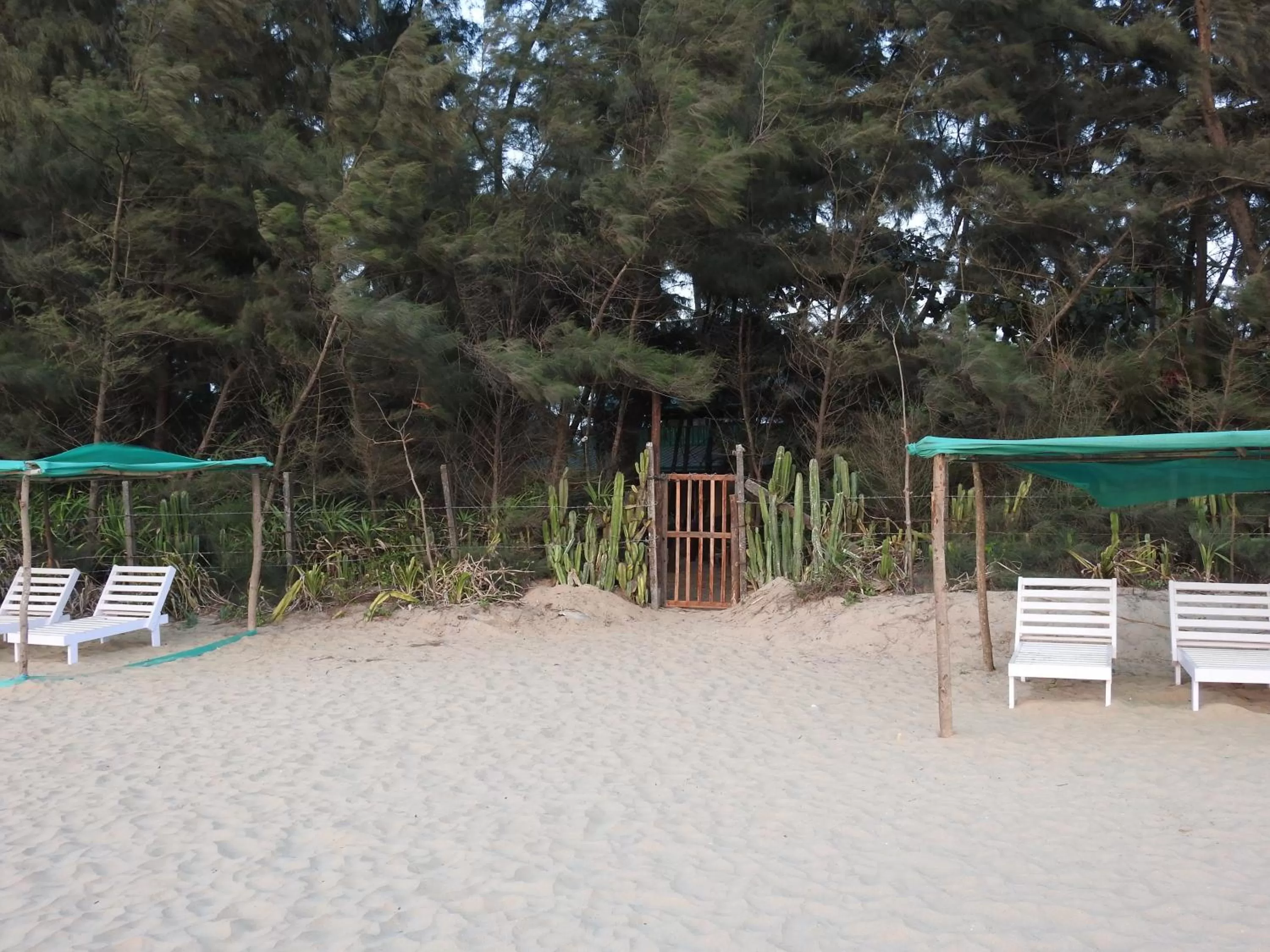 Beach in OmBodhi Retreat