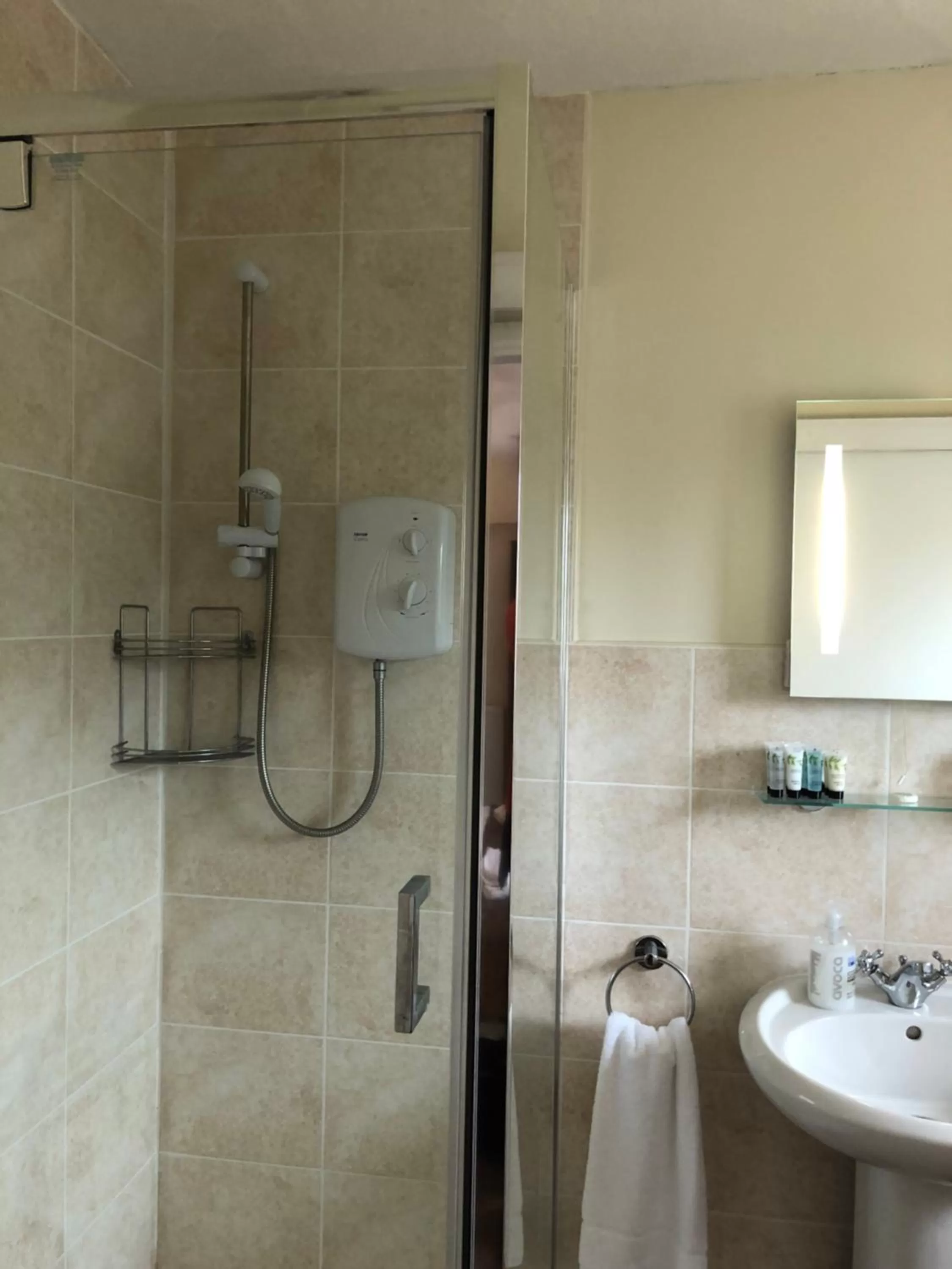 King Room with Garden View in The Lethbridge Arms