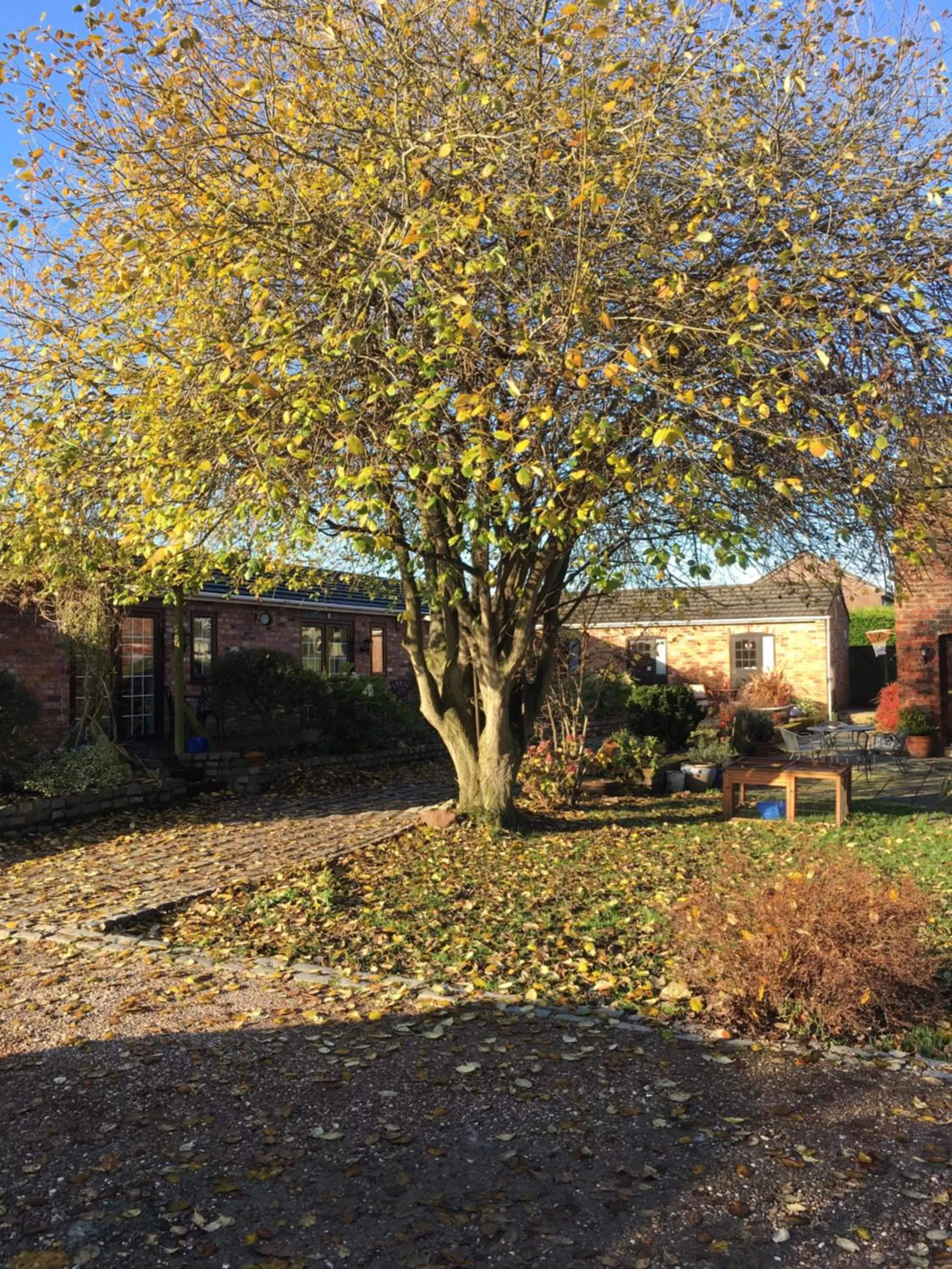 The Barn Bed and Breakfast