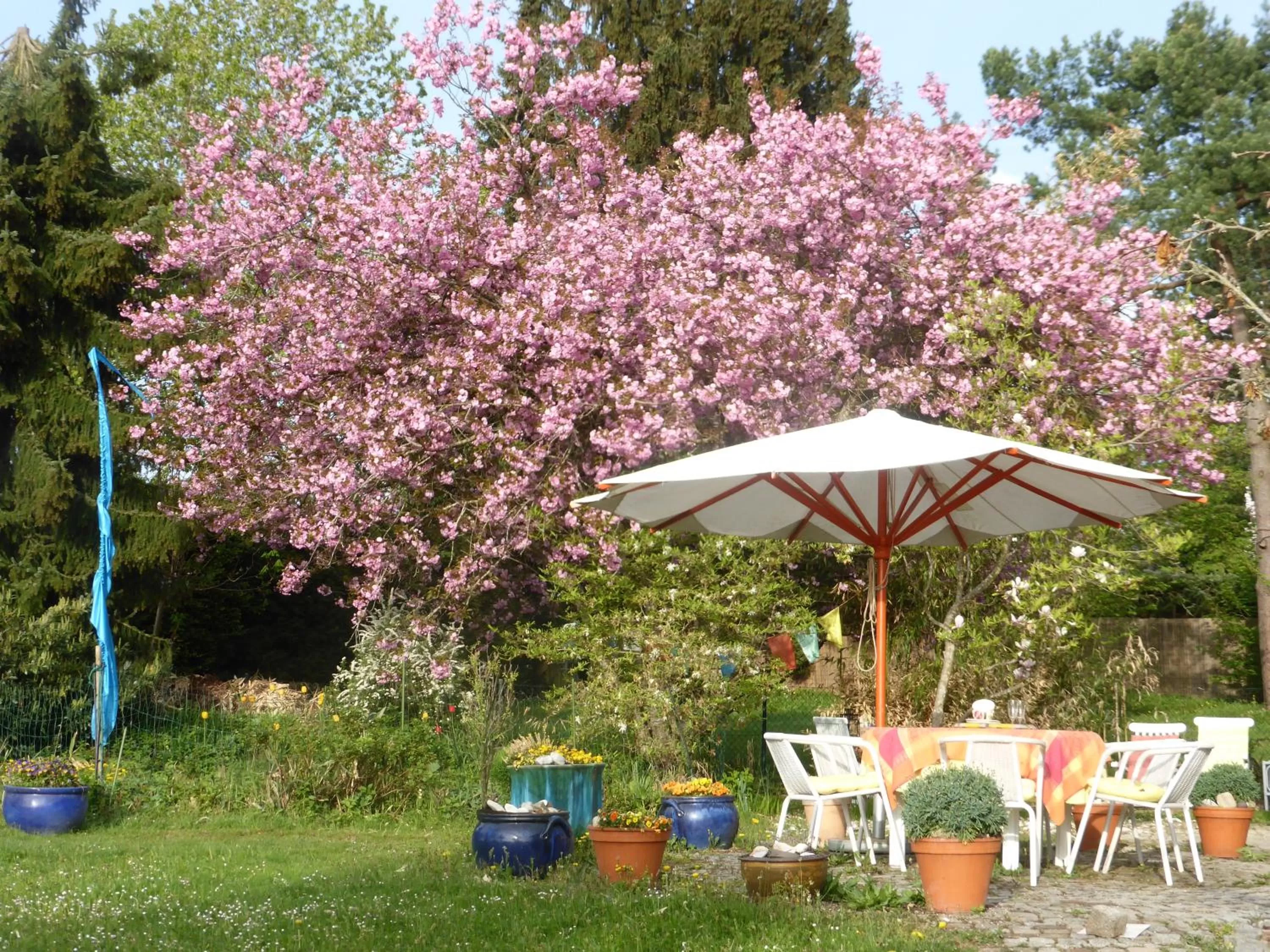 Bed and Breakfast Bavaria München