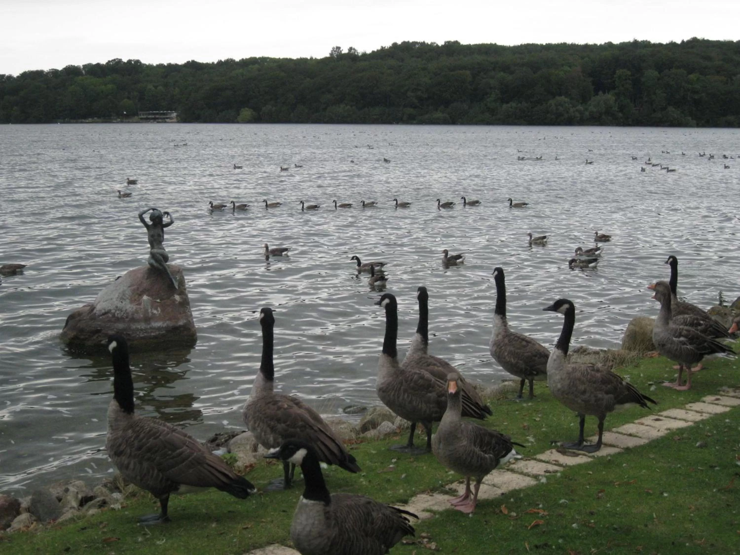 Day in Hotel Holsteinische Schweiz am Dieksee