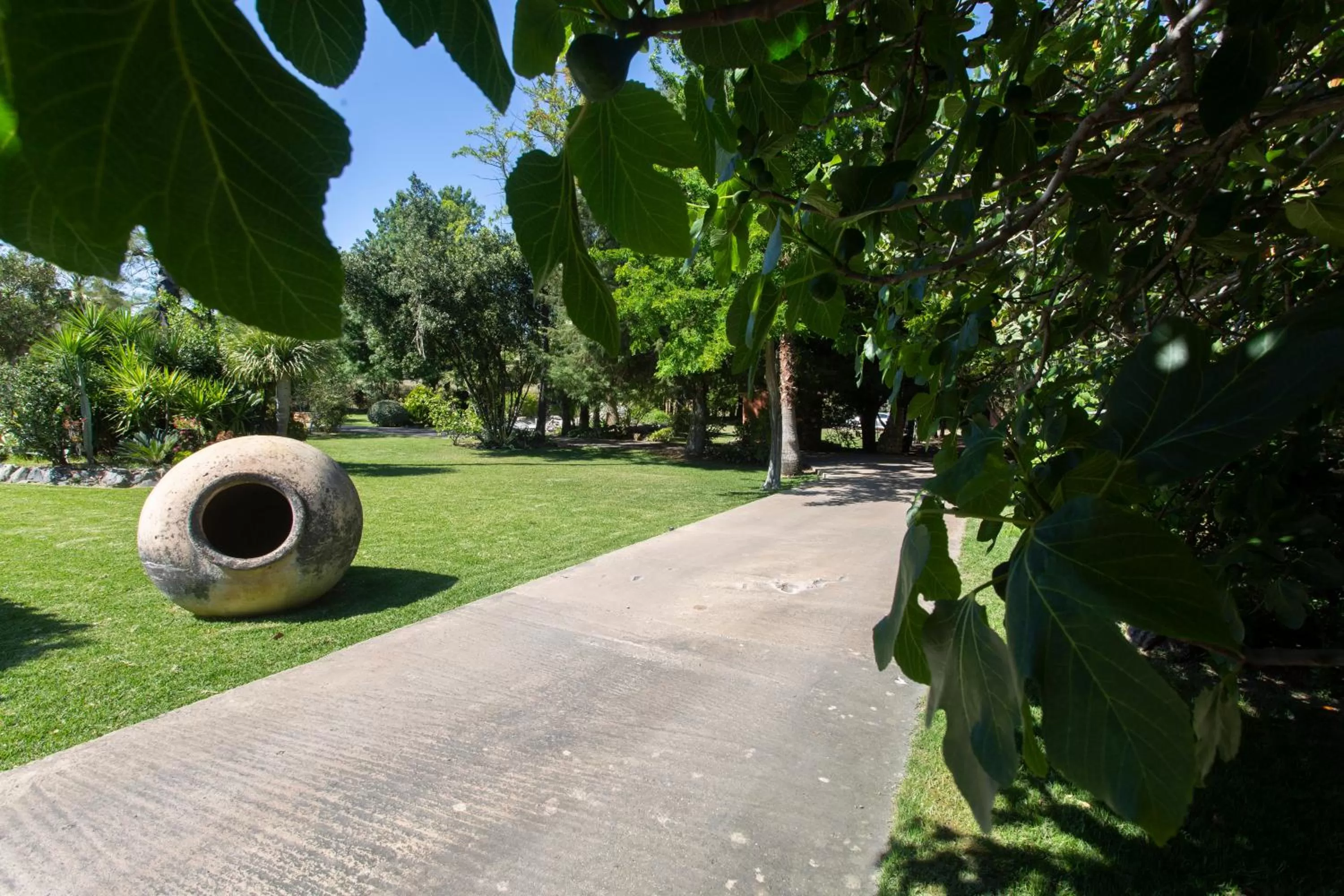 Garden view, Garden in La Casa del Torreón