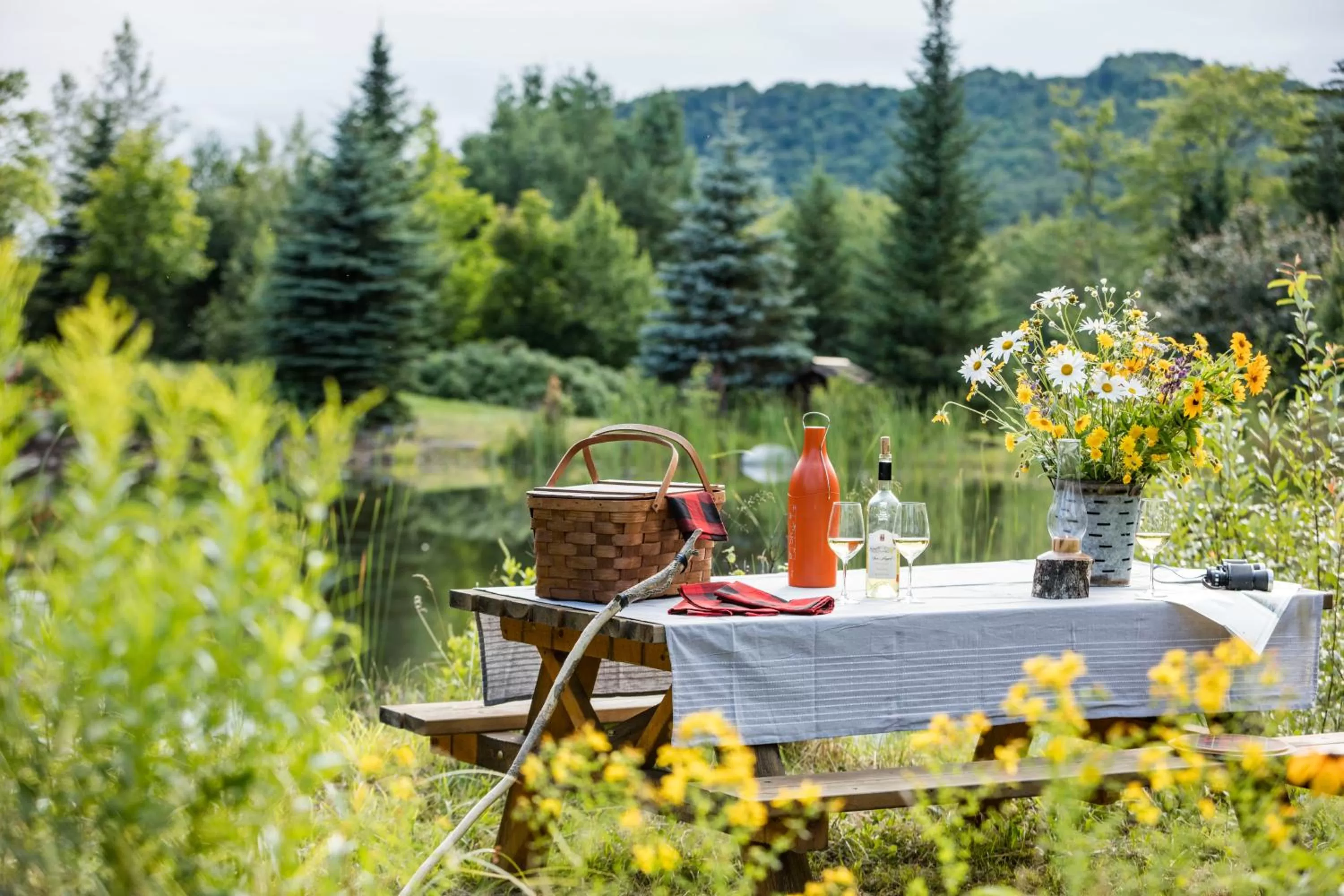 Natural landscape in The Whiteface Lodge