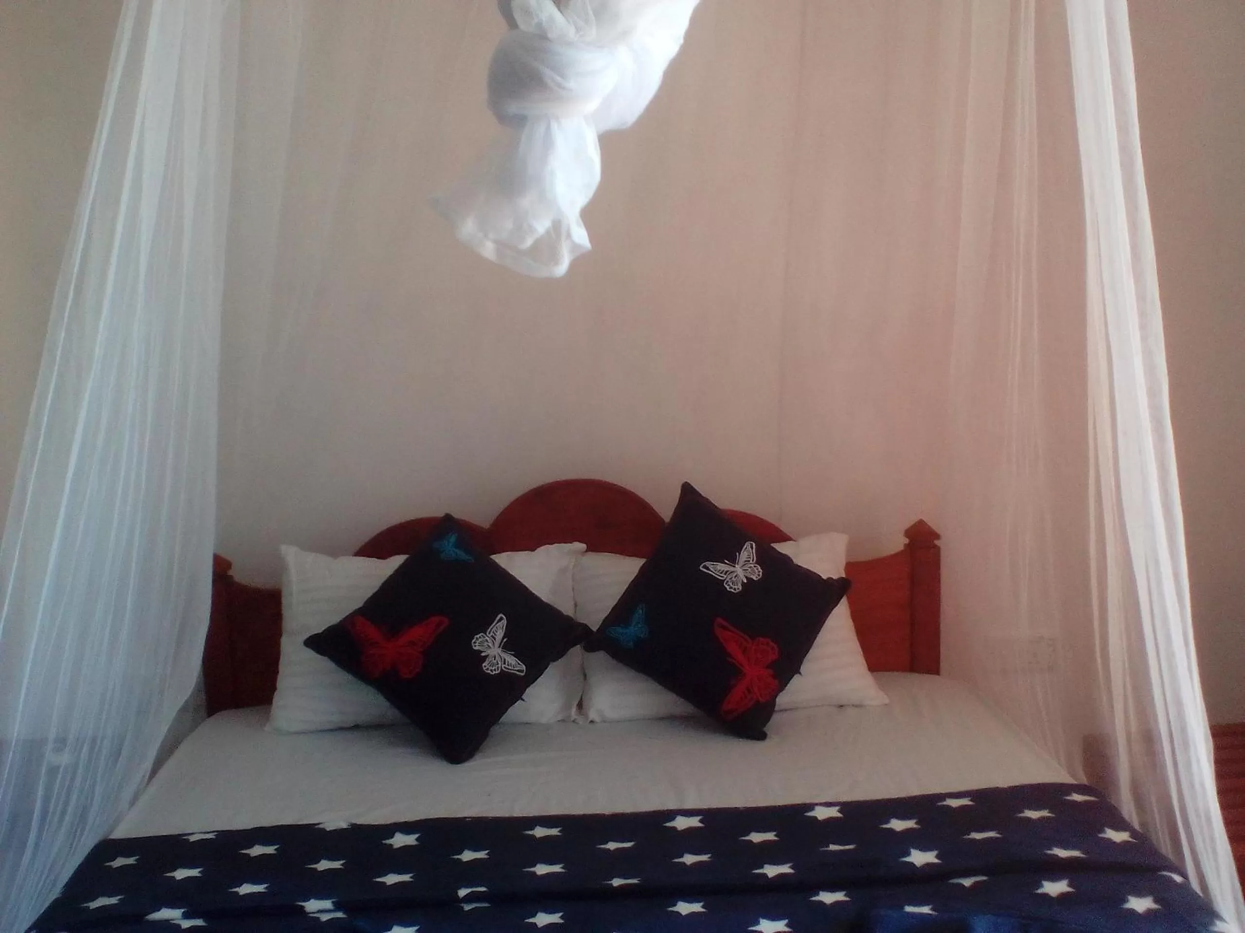 bunk bed, Bed in Saddle Cottage