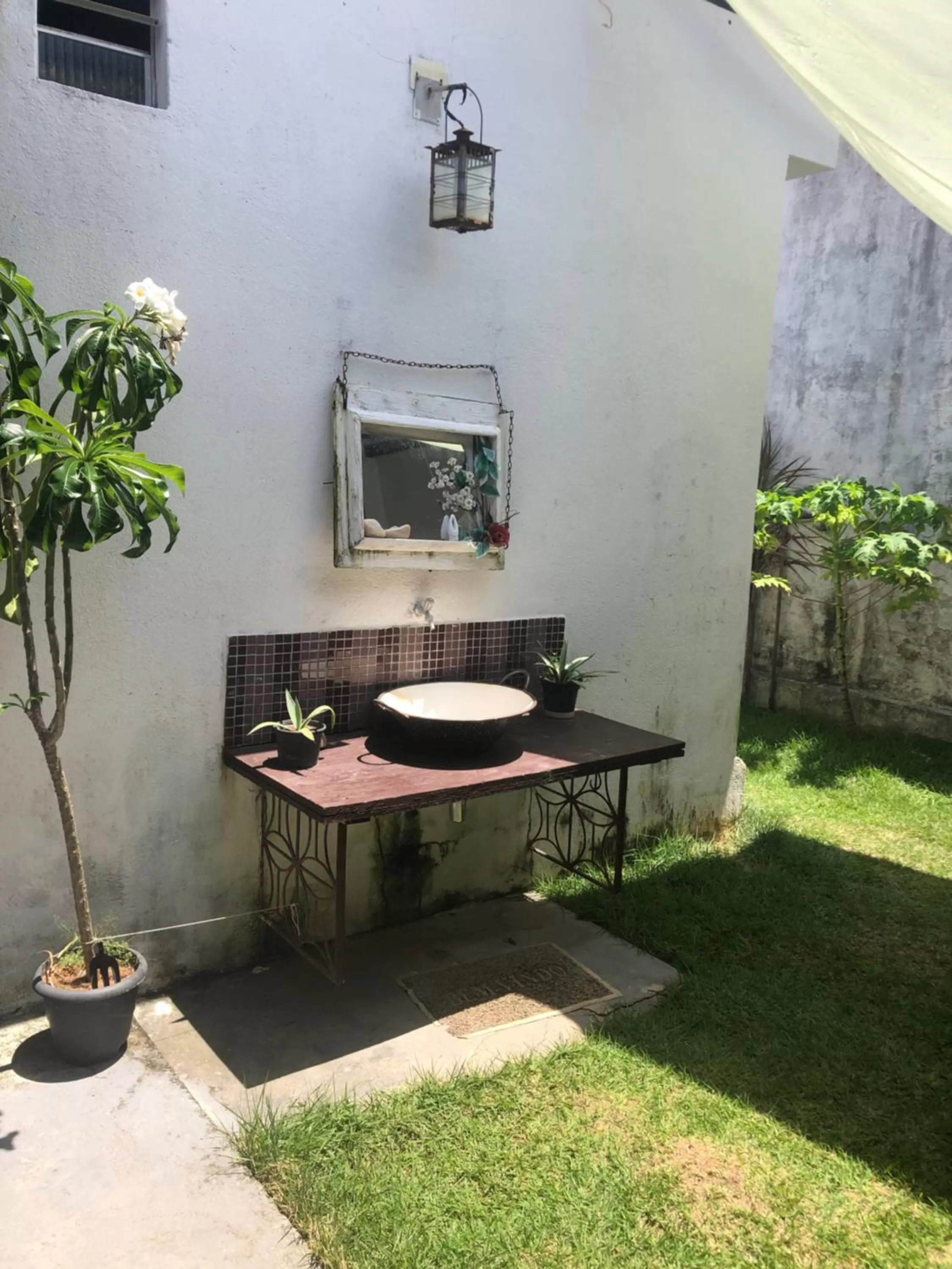 Patio in Hostel Das Canárias