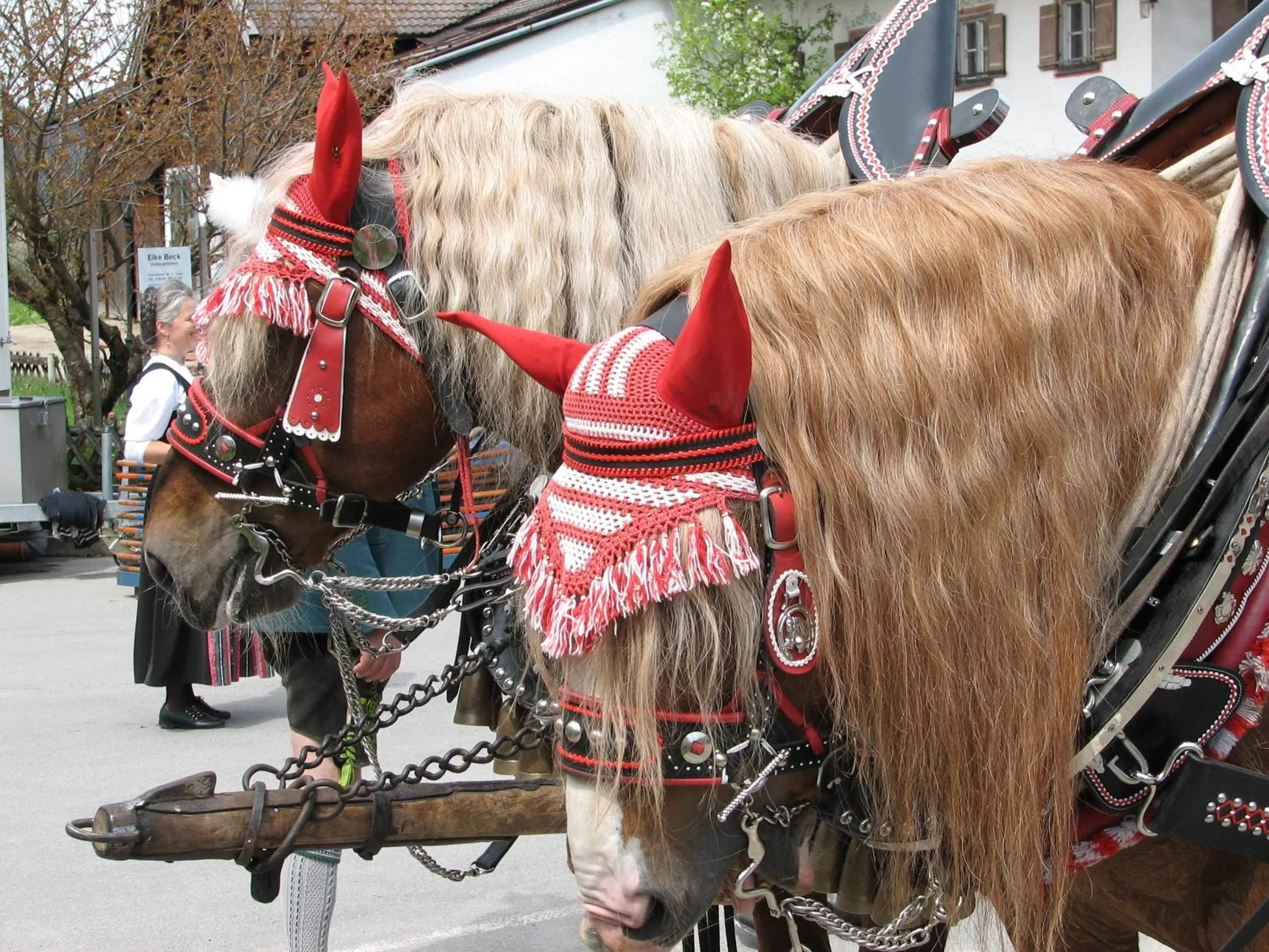 Animals in Aktivhotel & Gasthof Schmelz Ihr familienfreundliches Urlaubs Hotel mit Wellness Almsauna ab Februar Chiemgau Karte
