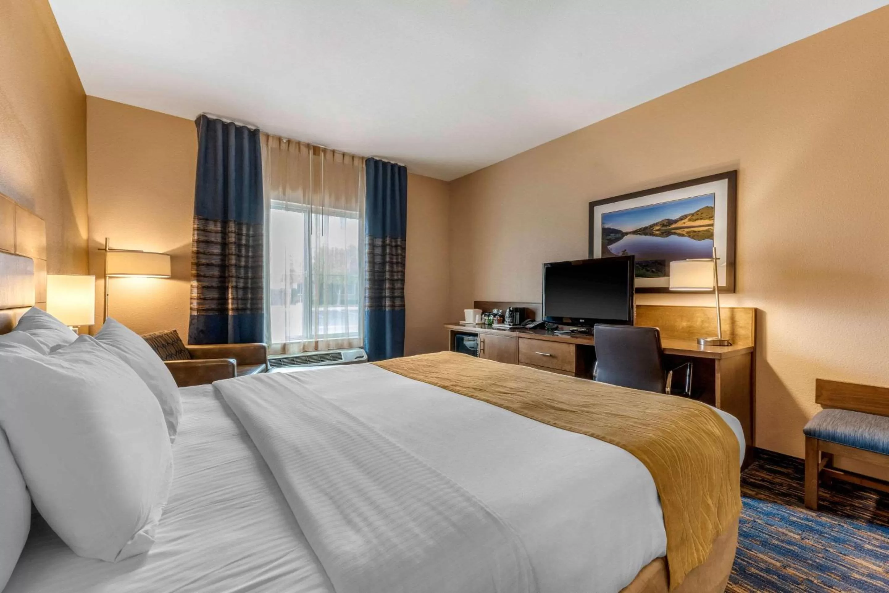 King Room in Comfort Inn South San Jose - Morgan Hill