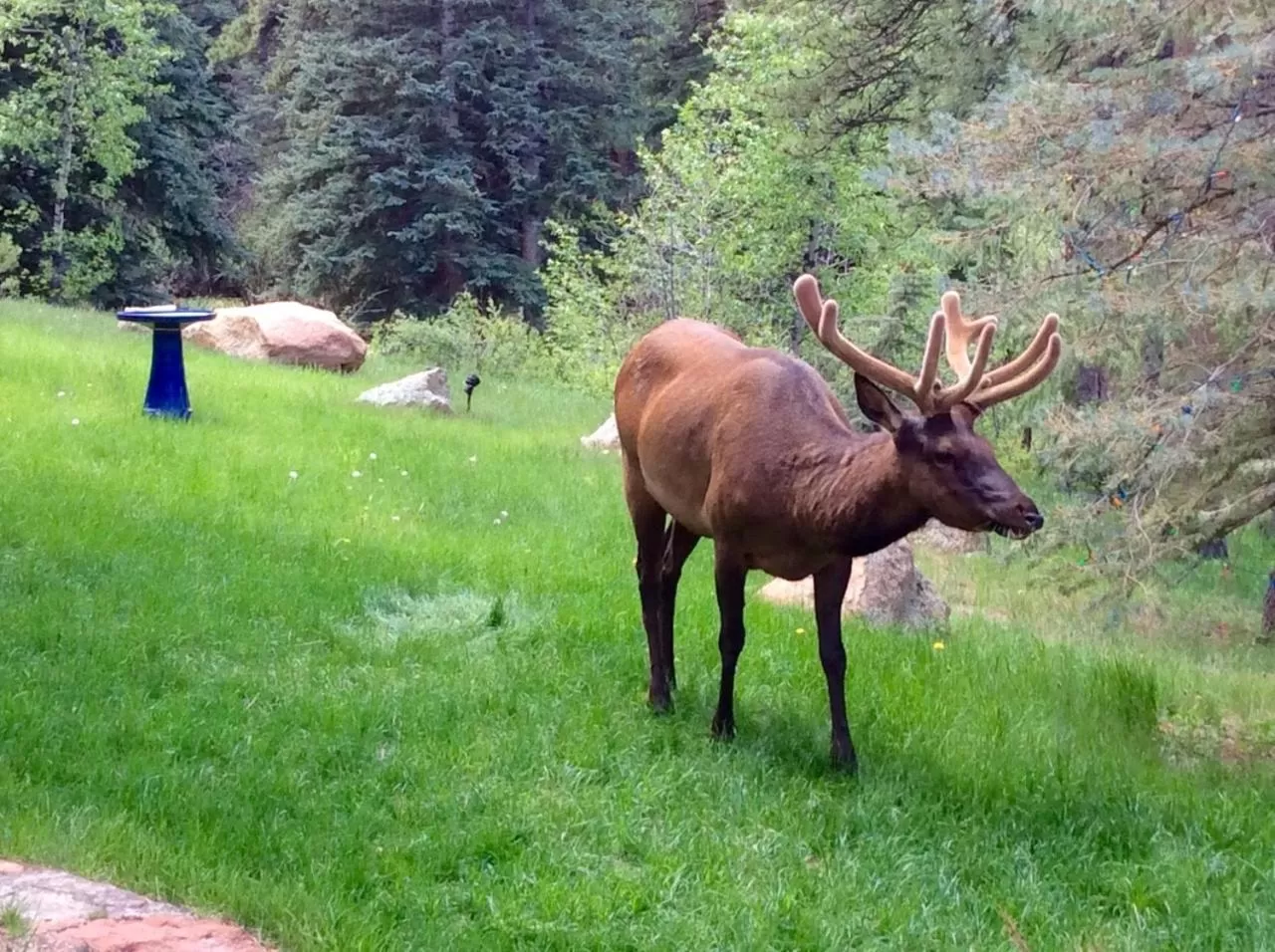 Riversong Inn Retreat