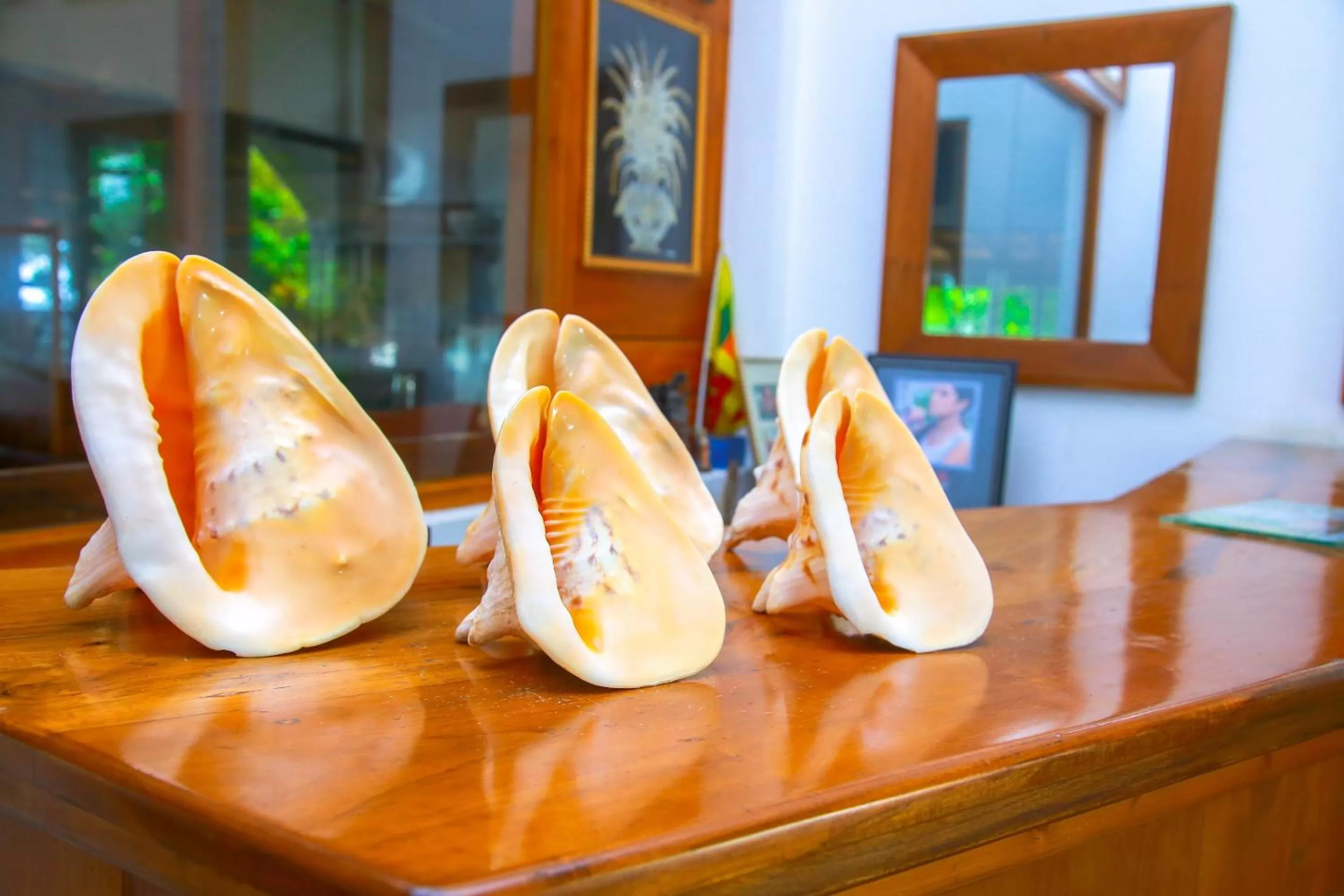 Lobby or reception in Surf Sea Breeze