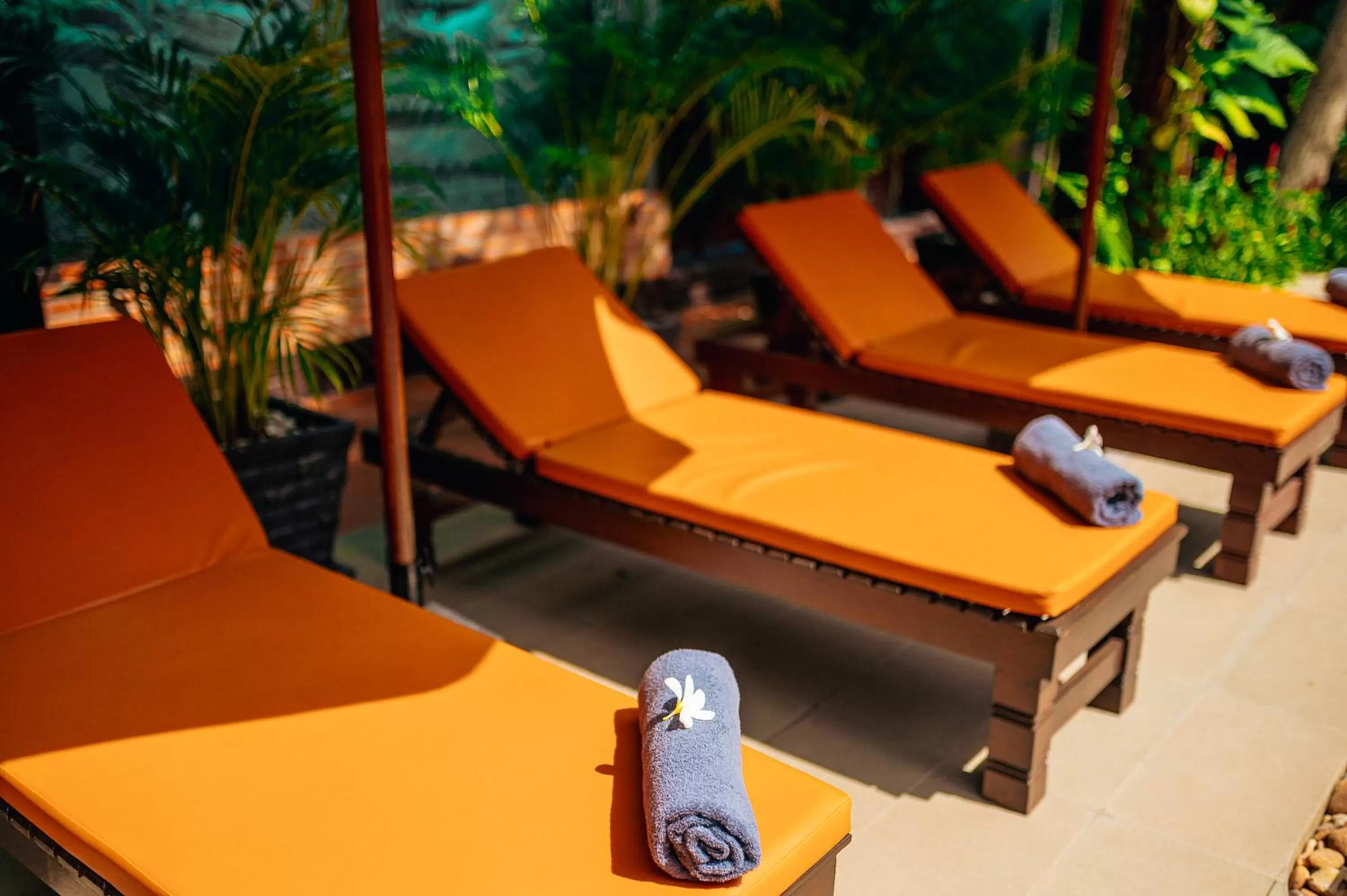 Garden in Sophavady D'Angkor