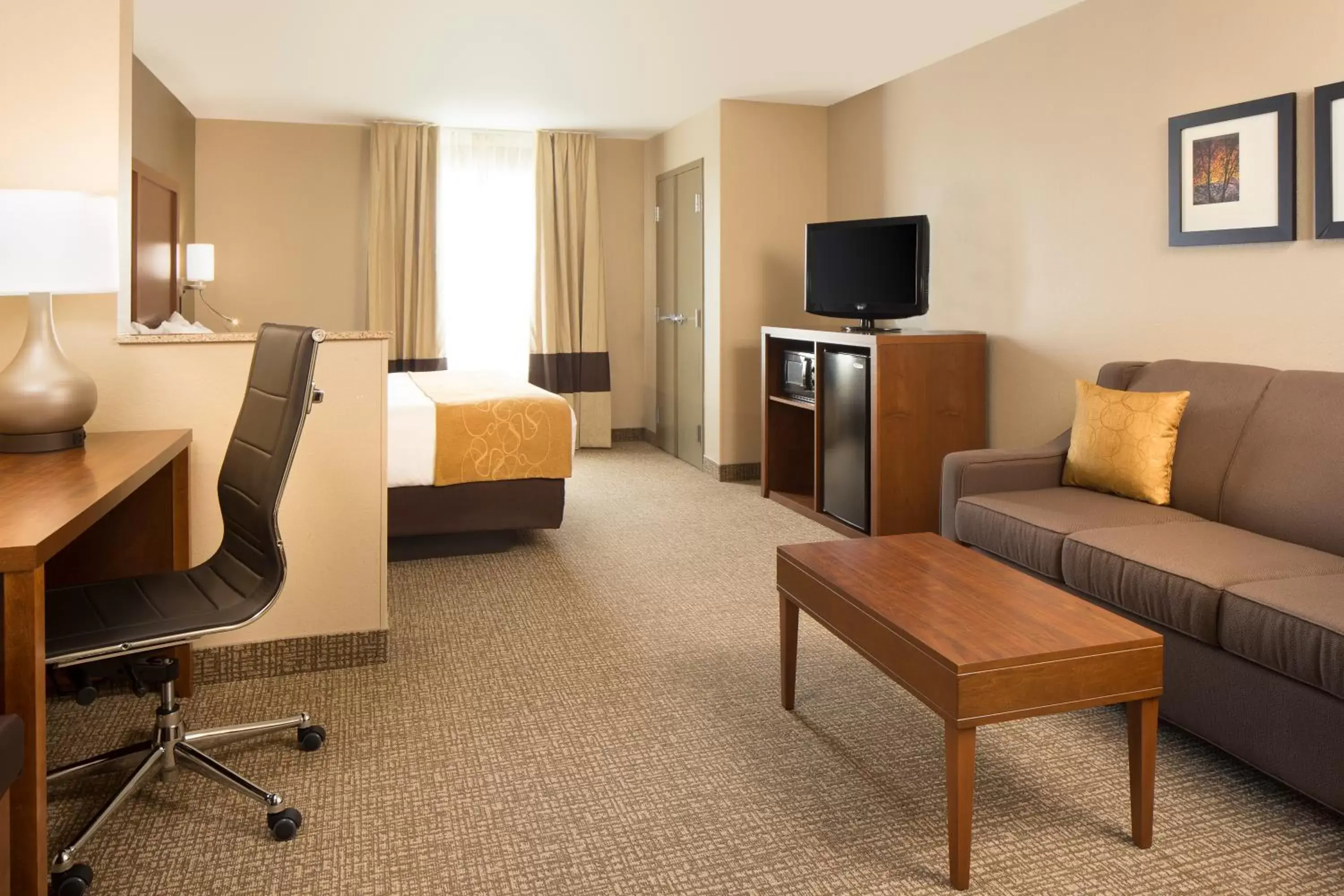 Efficiency King Suite - Non Smoking/Pet Friendly in Comfort Suites Coralville I-80 Efficiency King Suite - Non Smoking/Pet Friendly in Comfort Suites Coralville I-80