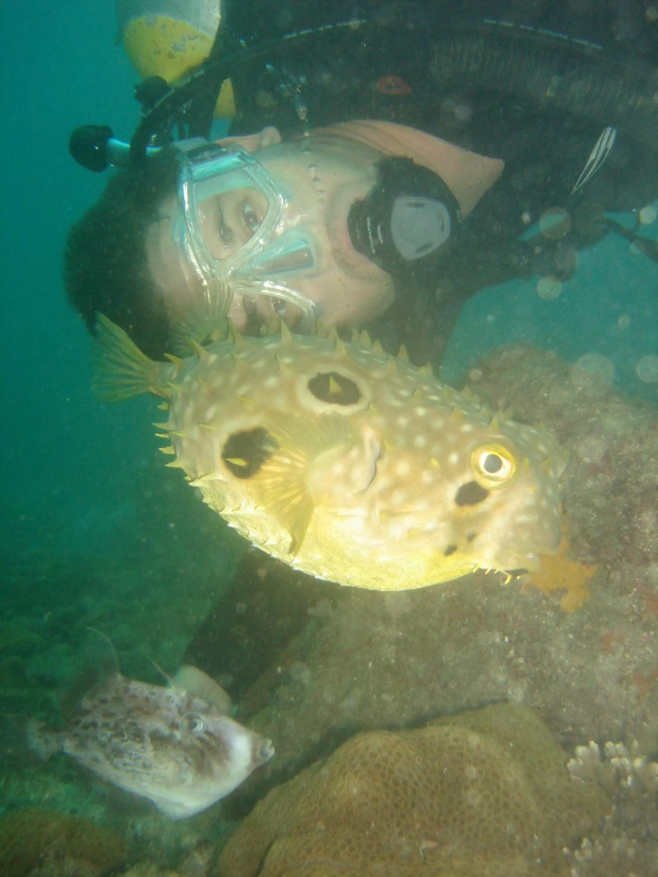Snorkeling in Pousada Laguna Hotel