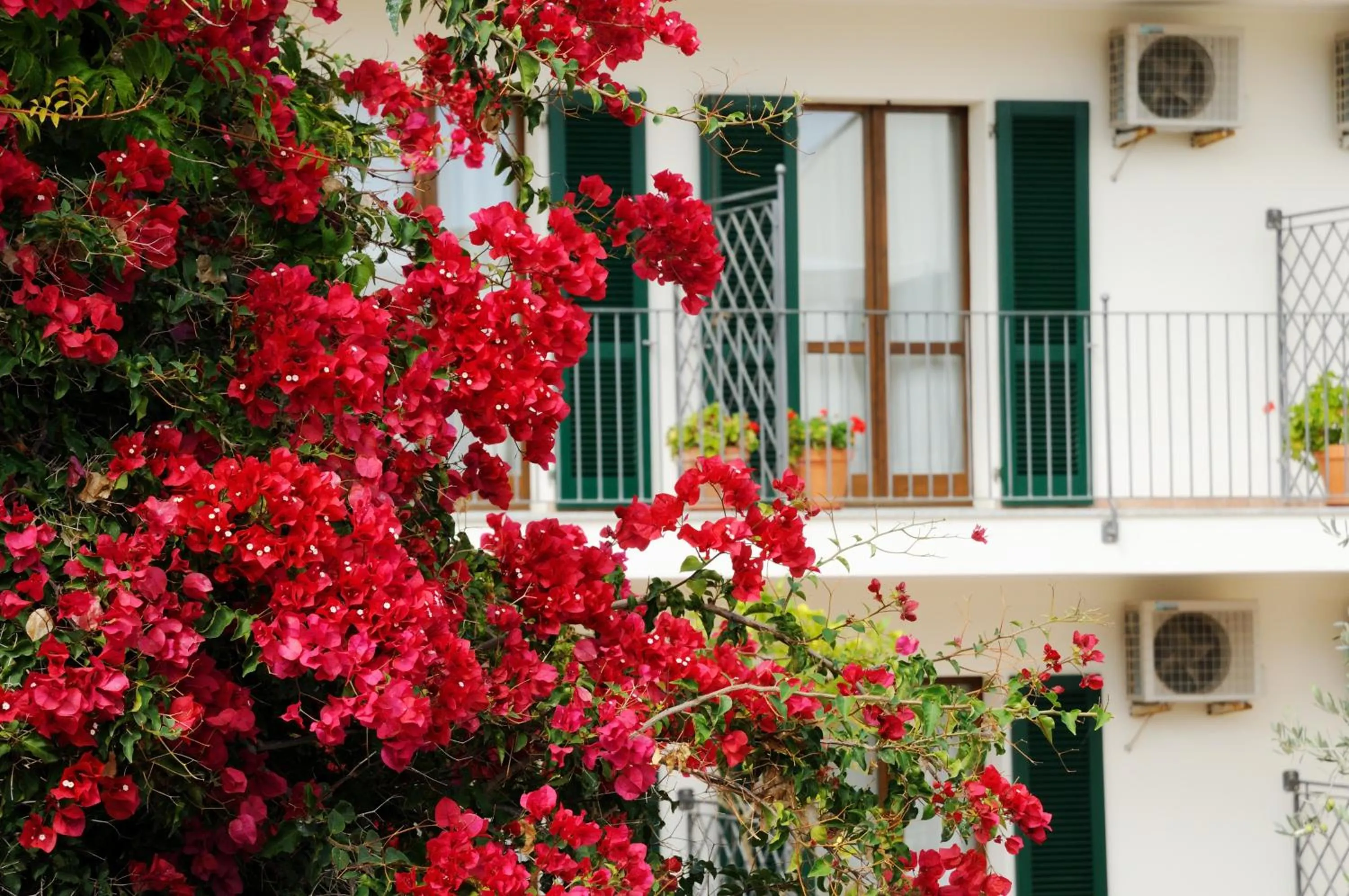 Garden in Hotel Angedras