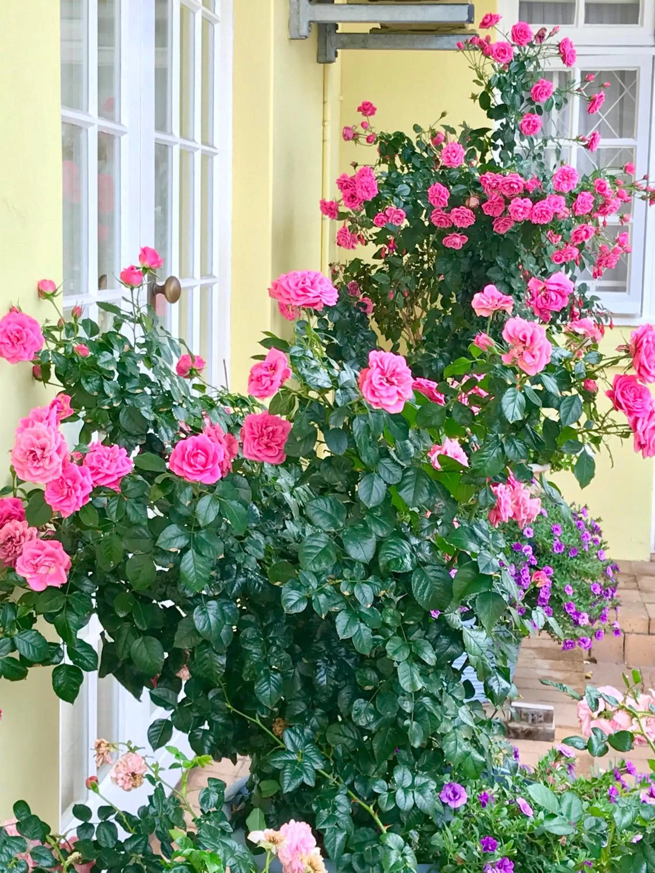 Garden in On the Bay