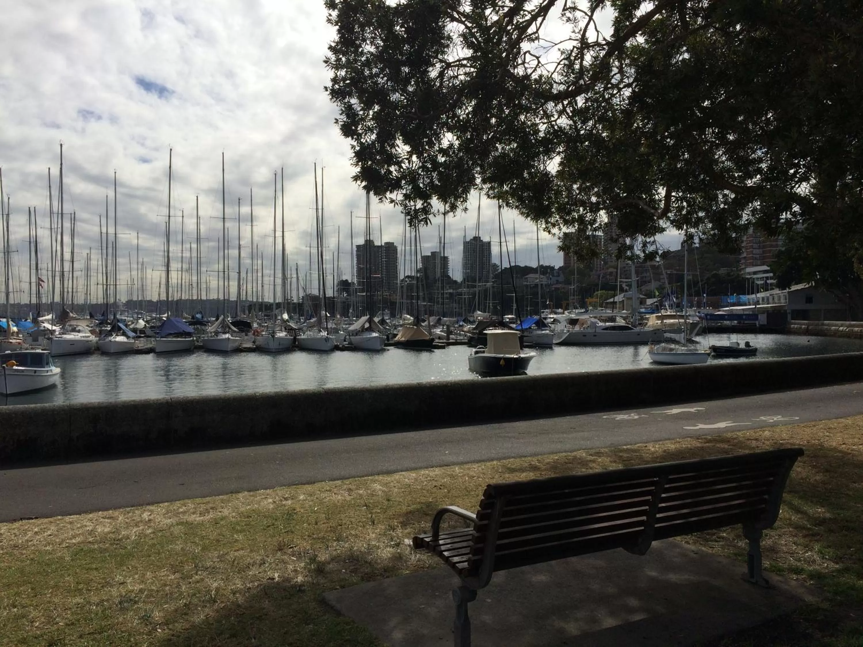 Area and facilities in Edgecliff Lodge Motel