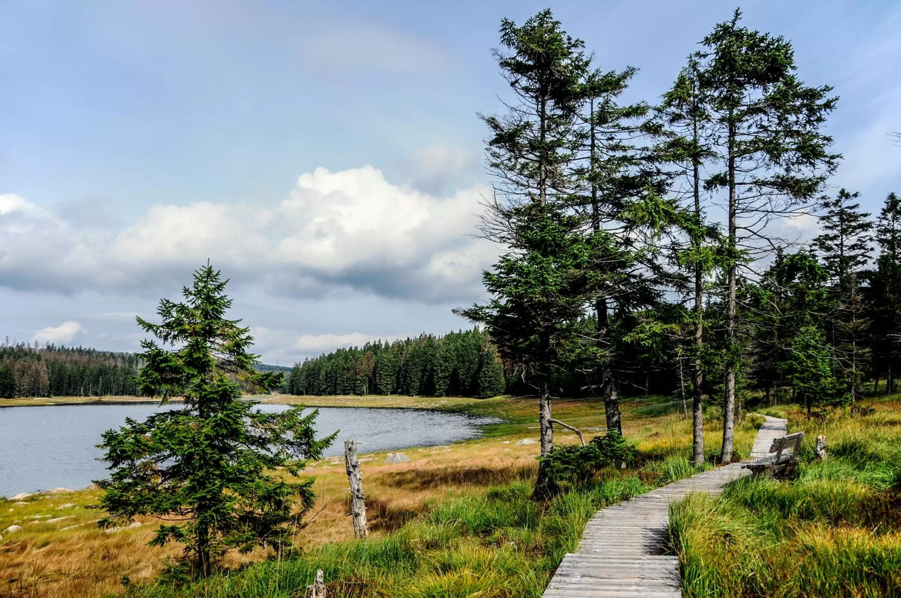 Day in Hotel Zum Harzer