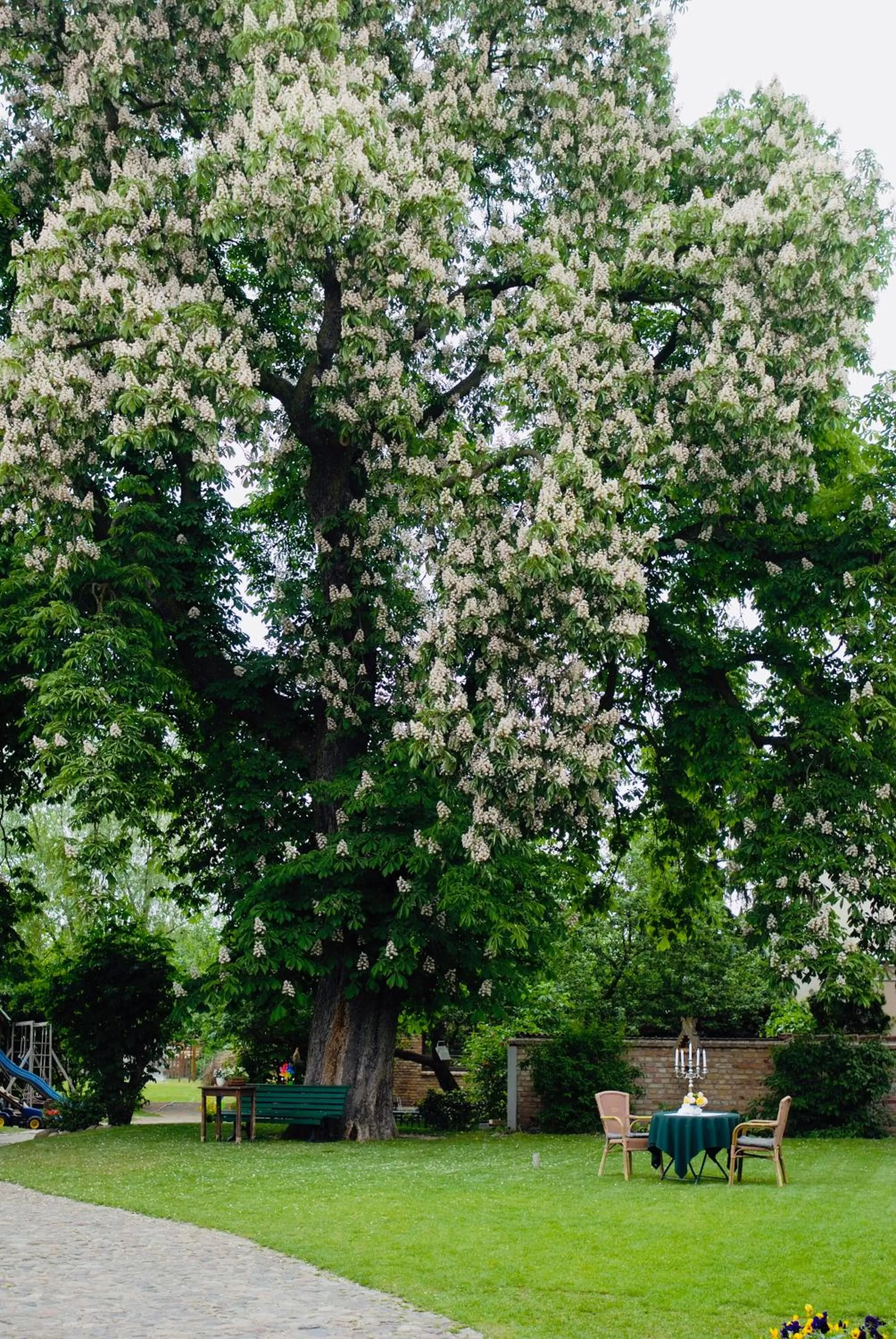 Spring in Hotel Zur Linde Dein Self Check In