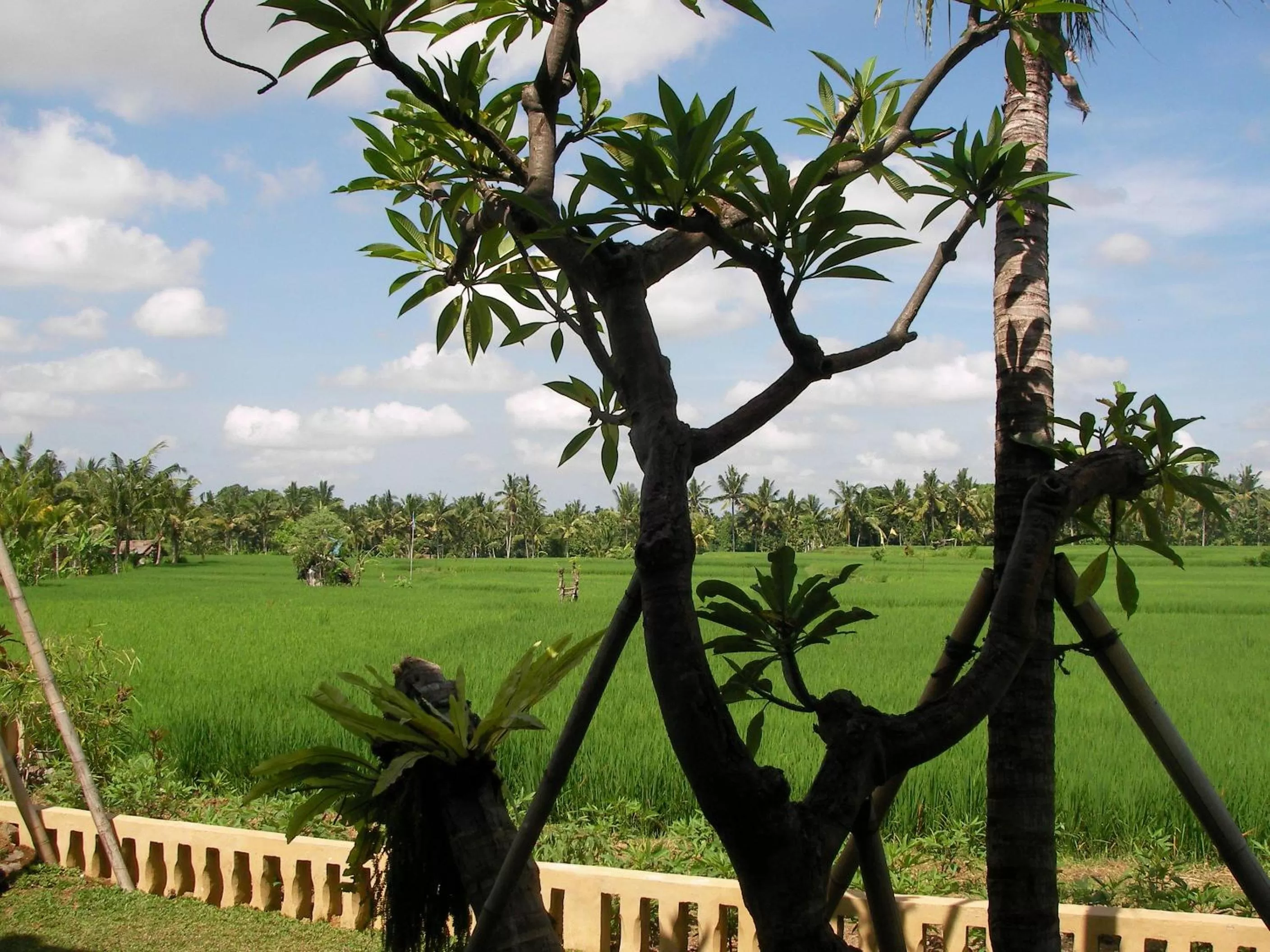 Bird's eye view in Green Field Hotel and Restaurant