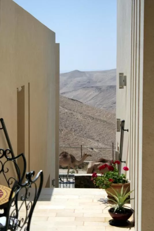 Animals, Mountain View in Yehelim Boutique Hotel