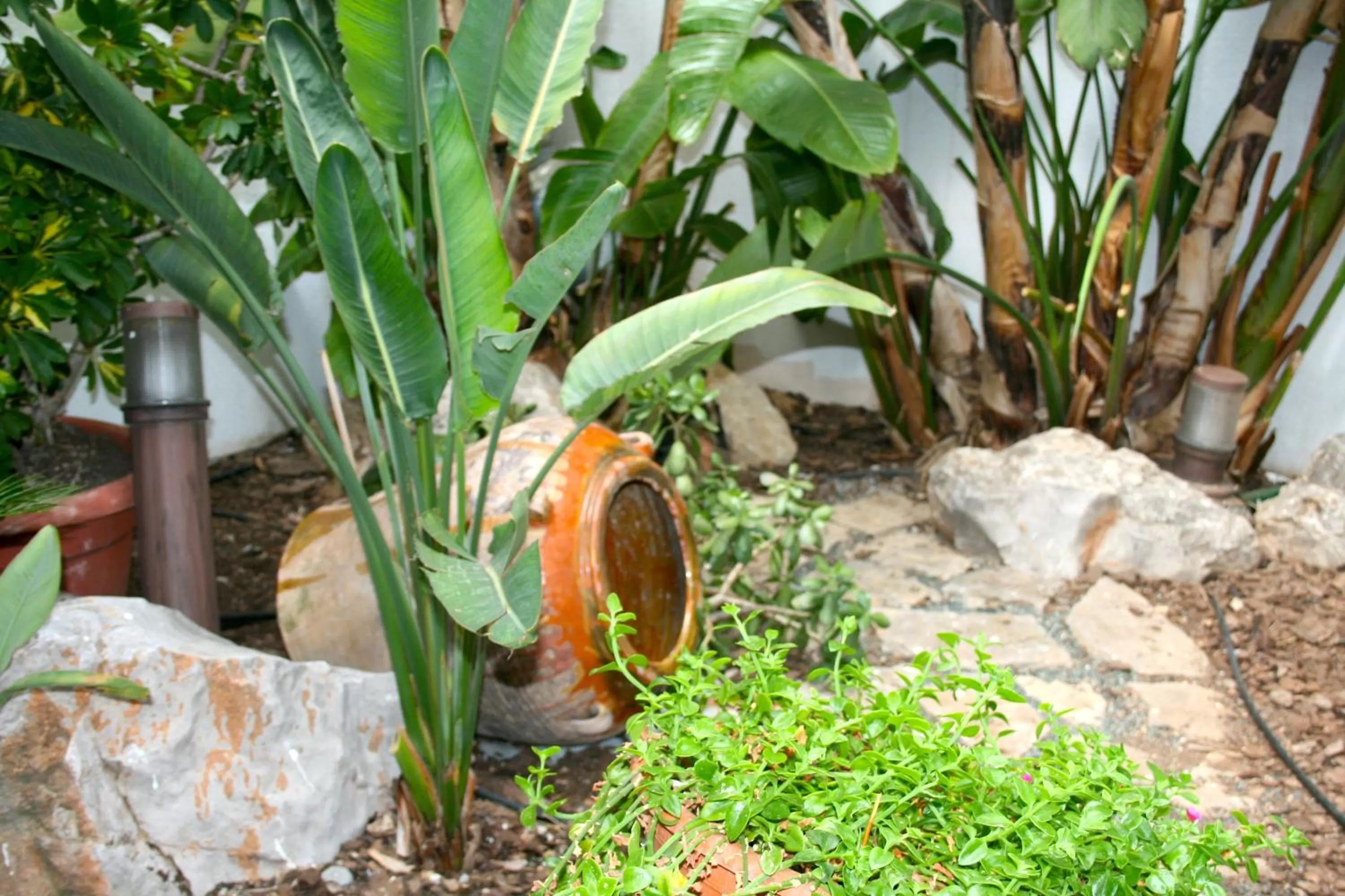 Other in El Pinche de Oro