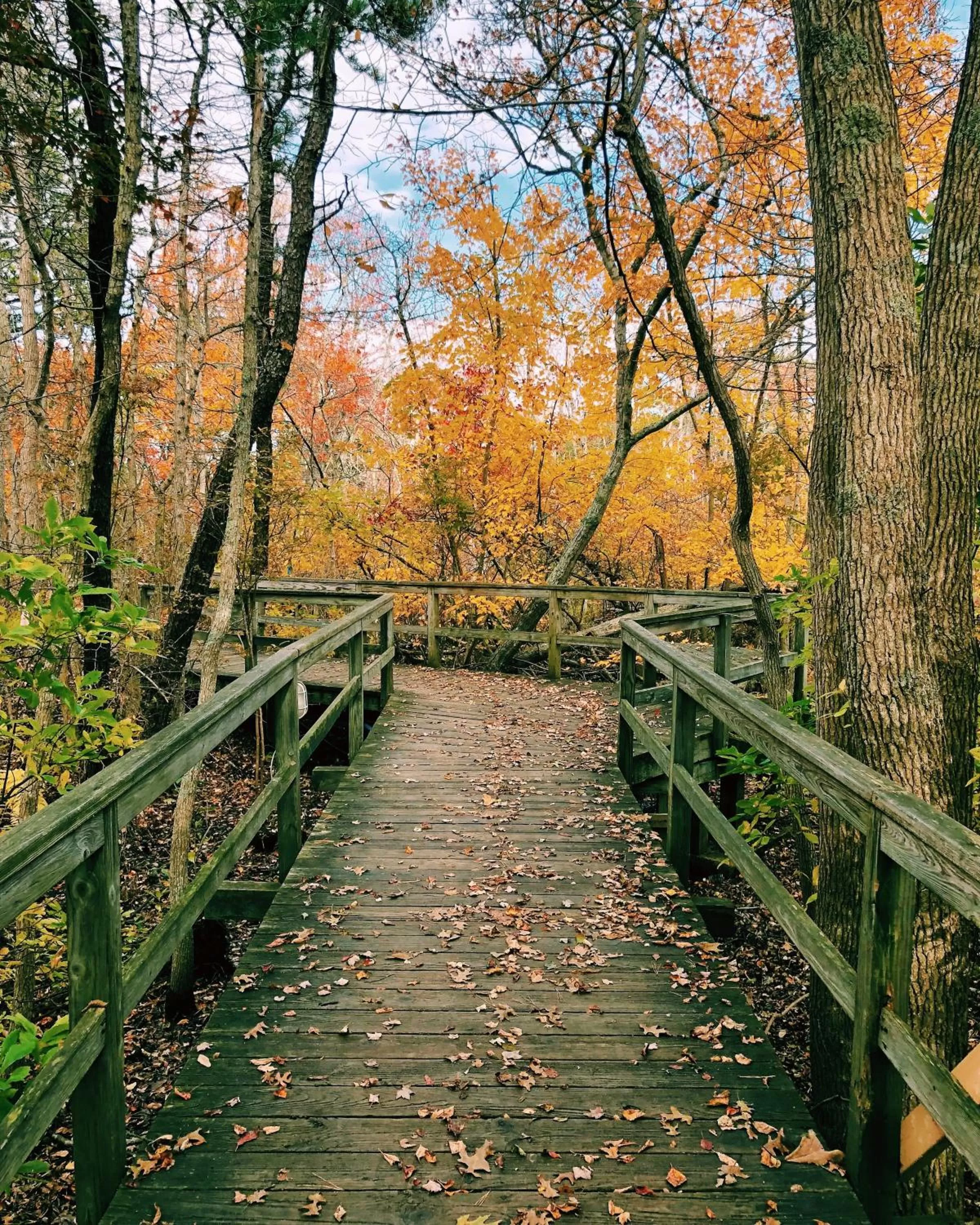 Property building in The Villages at Ocean Edge Resort & Golf Club