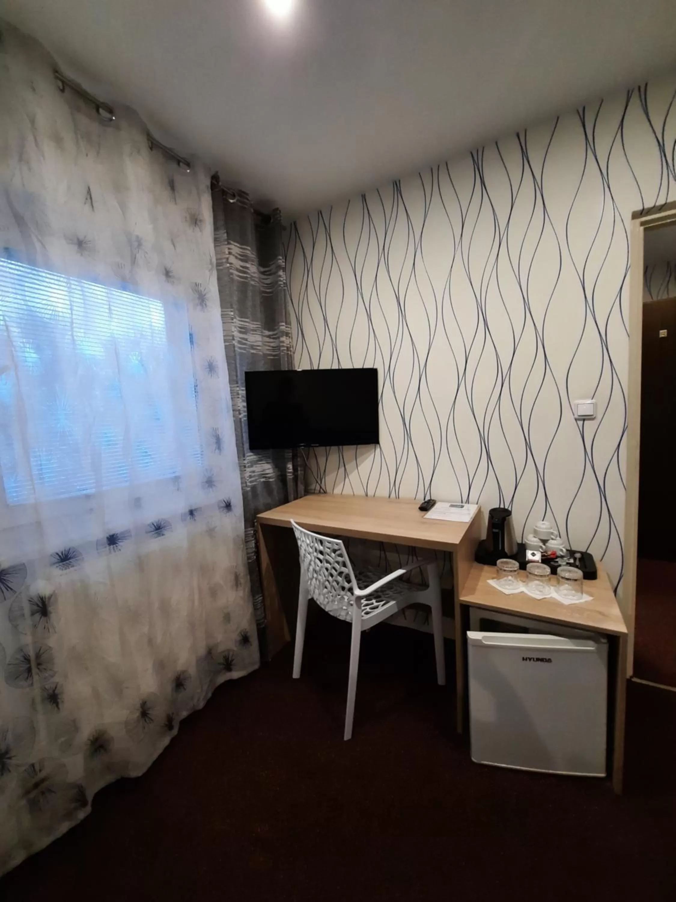 TV and multimedia in Hotel Boršičanka