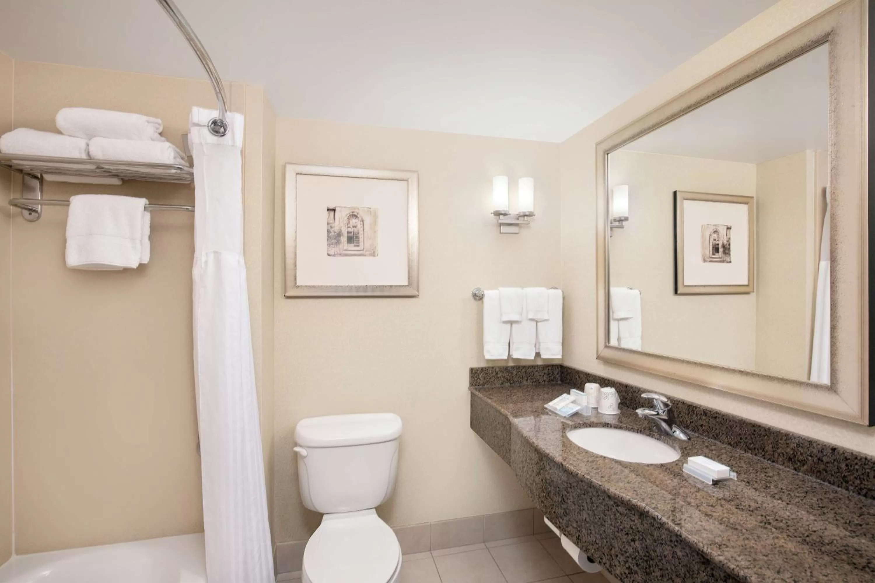 Bathroom in Hilton Garden Inn Richmond Airport