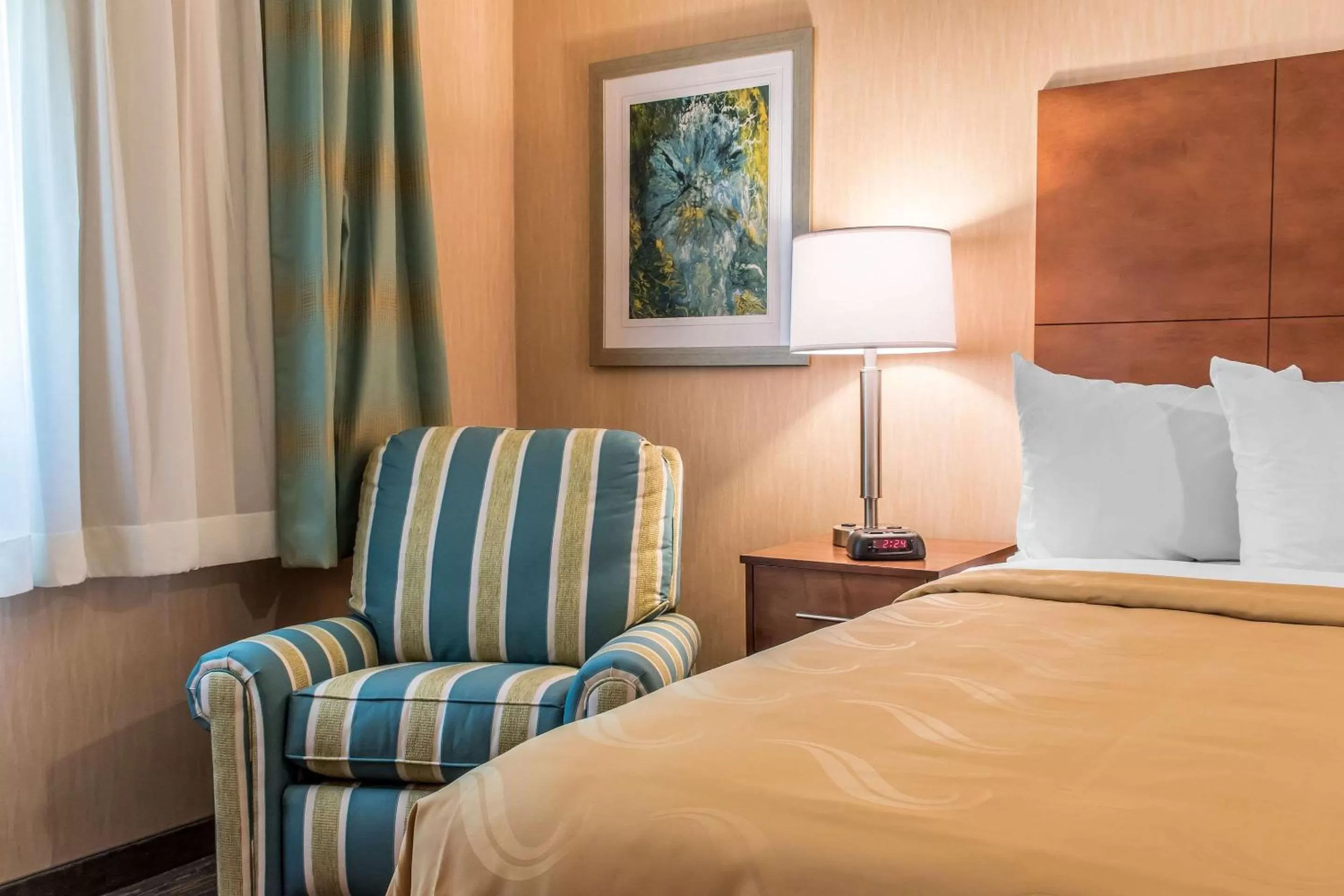 Photo of the whole room, Bed in Quality Inn