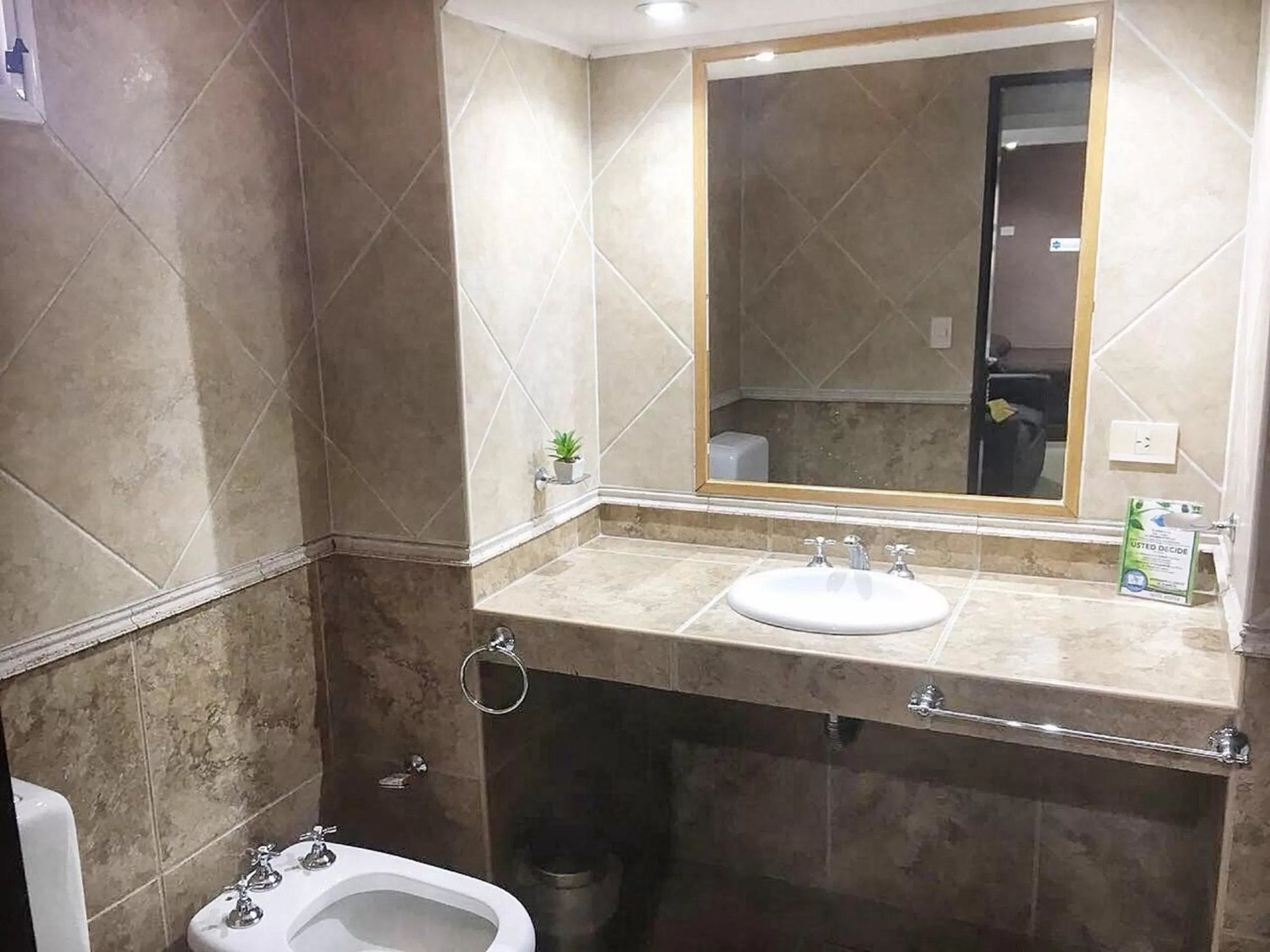 Decorative detail, Bathroom in Hotel ATEPSA