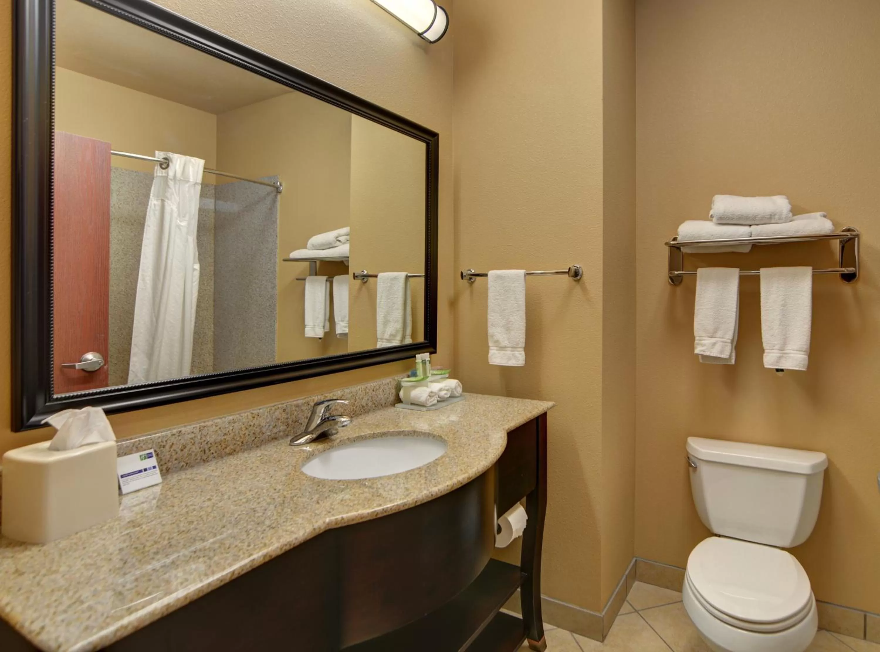 Bathroom in Holiday Inn Express Hotel and Suites Altus by IHG