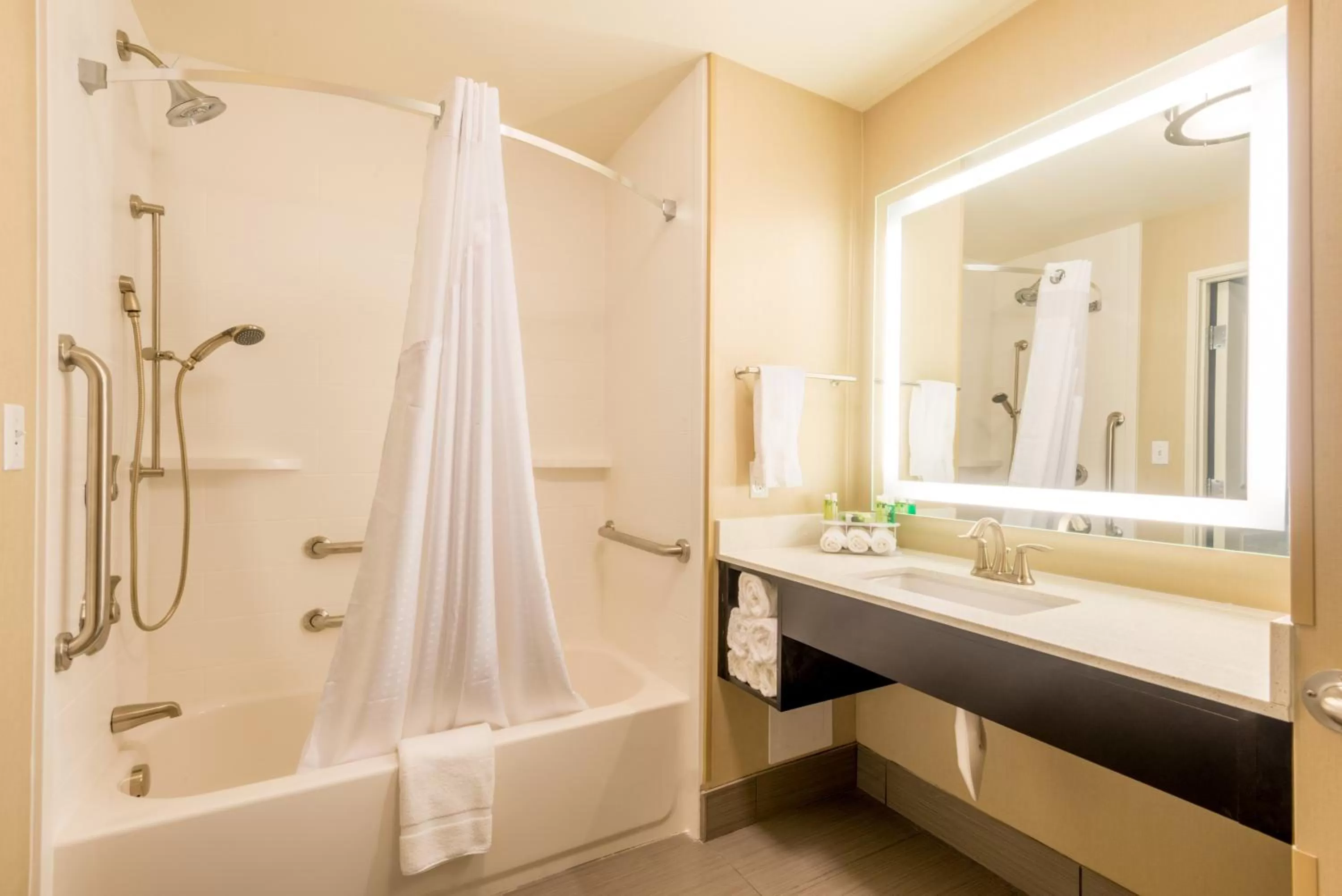 Bathroom in Holiday Inn Express & Suites Denver South - Castle Rock by IHG
