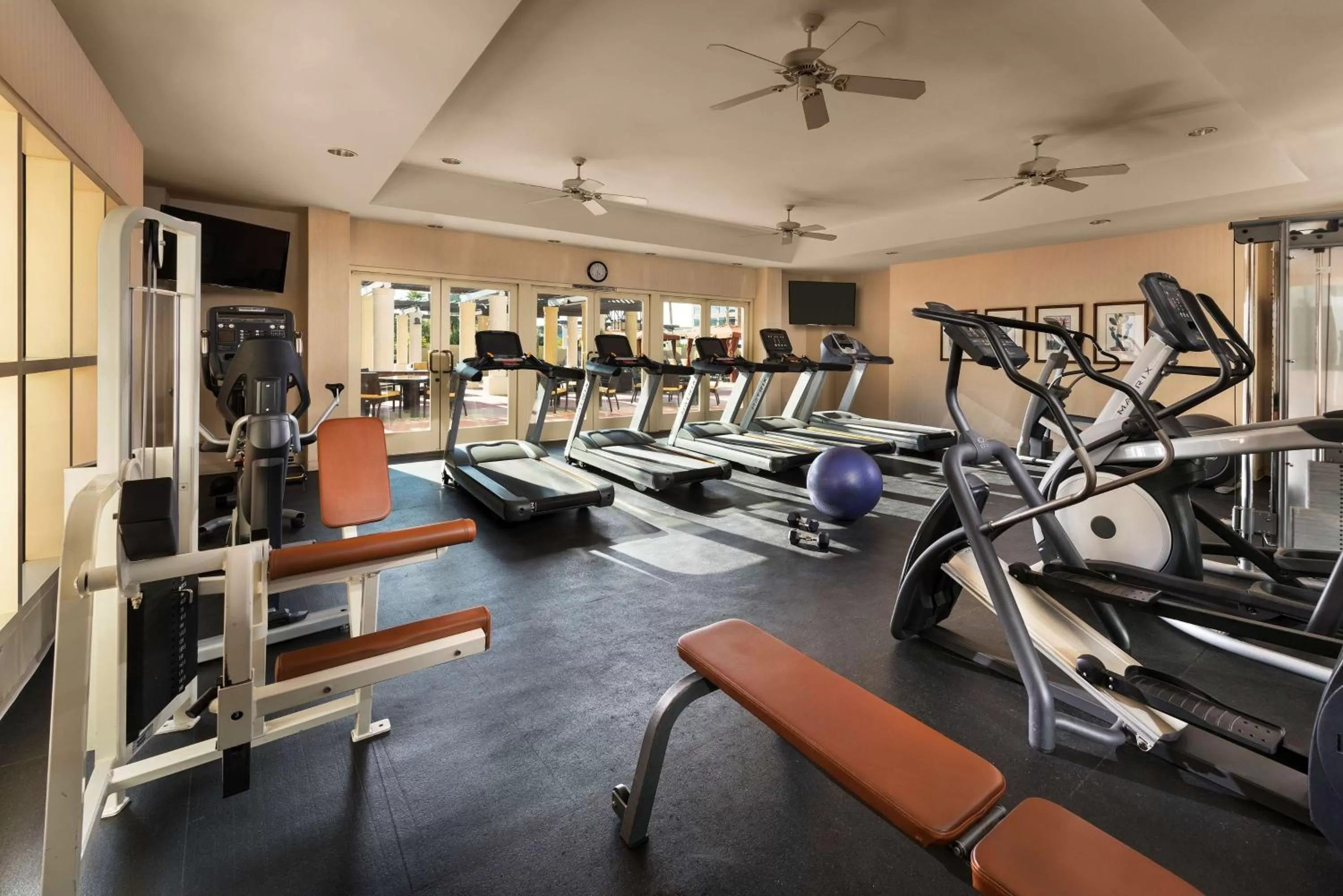 Fitness centre/facilities in Tempe Mission Palms