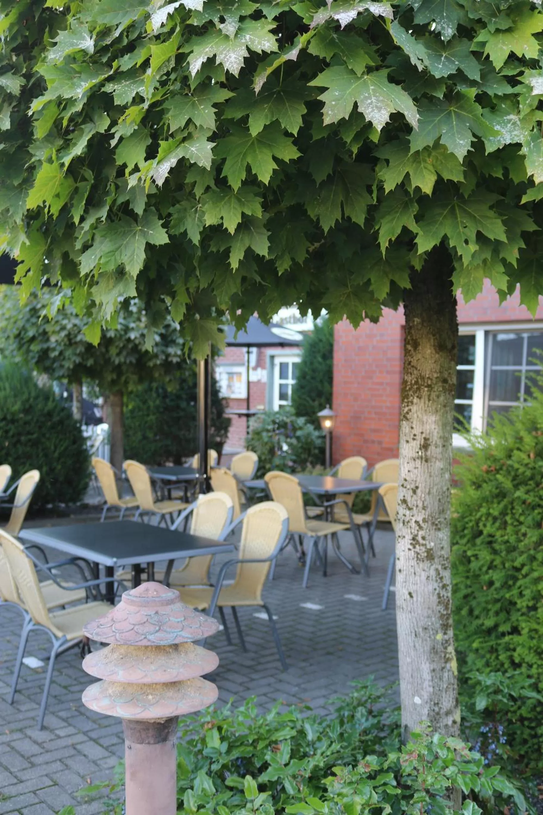 Restaurant/places to eat in Rixbecker Alpen - Hotel Koch