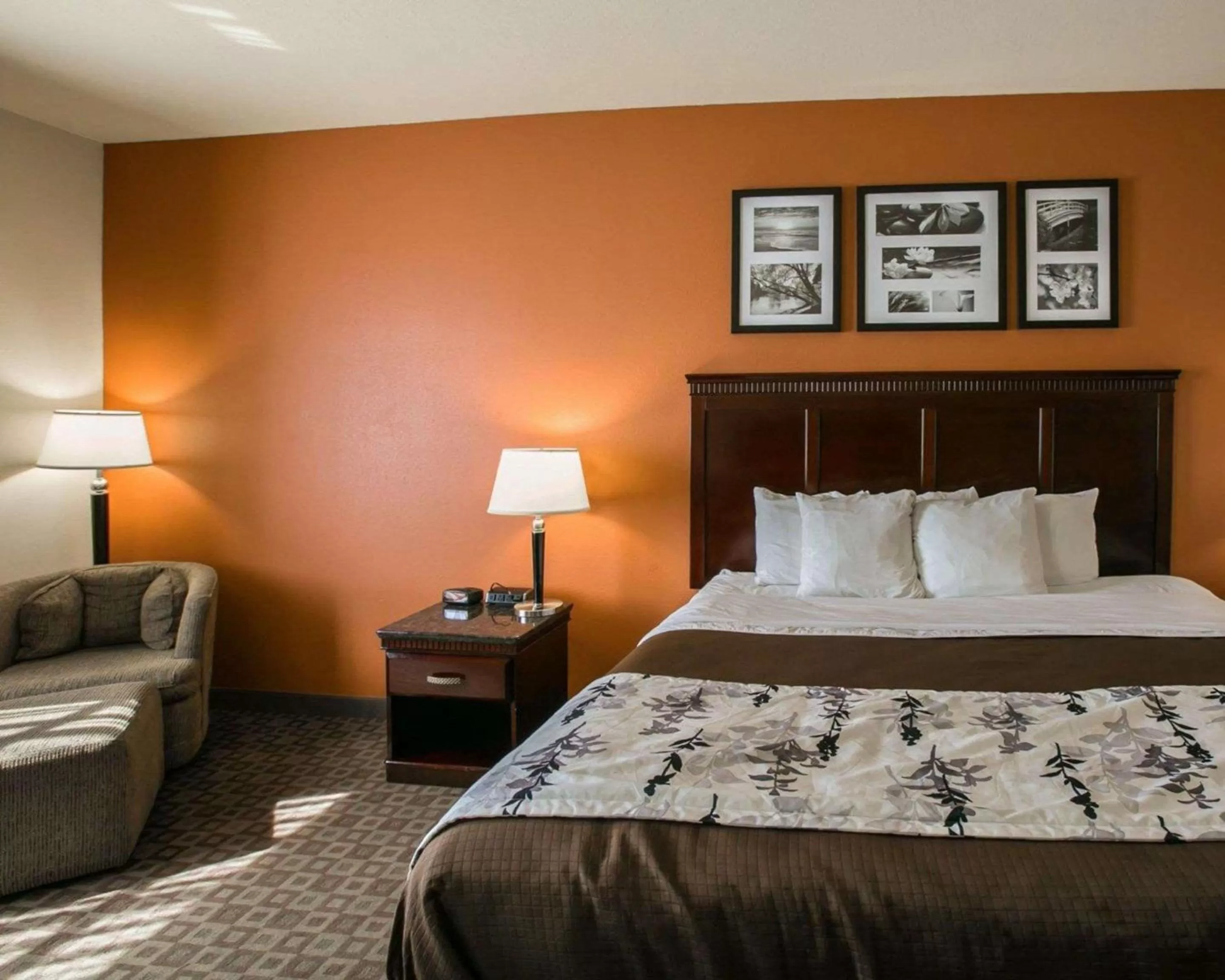 Photo of the whole room, Bed in Sleep Inn & Suites Hwy 290-NW Freeway