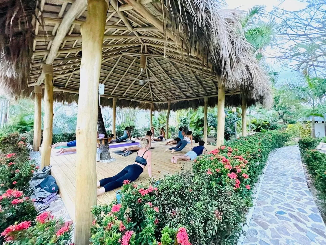 Garden in Hotel La Tortuga