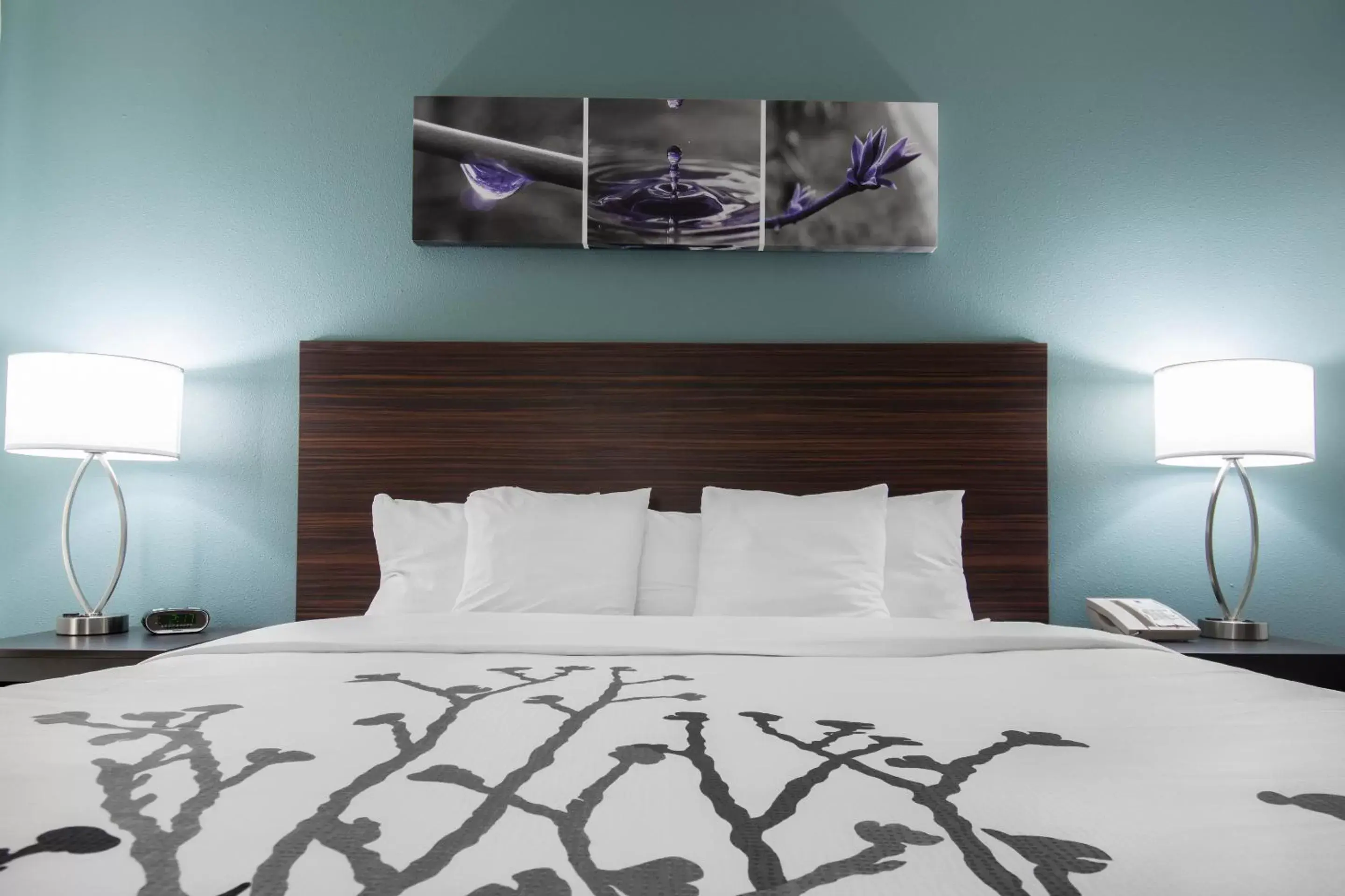 King Room with tub - Accessible/Non-Smoking in Sleep Inn & Suites Washington near Peoria King Room with tub - Accessible/Non-Smoking in Sleep Inn & Suites Washington near Peoria