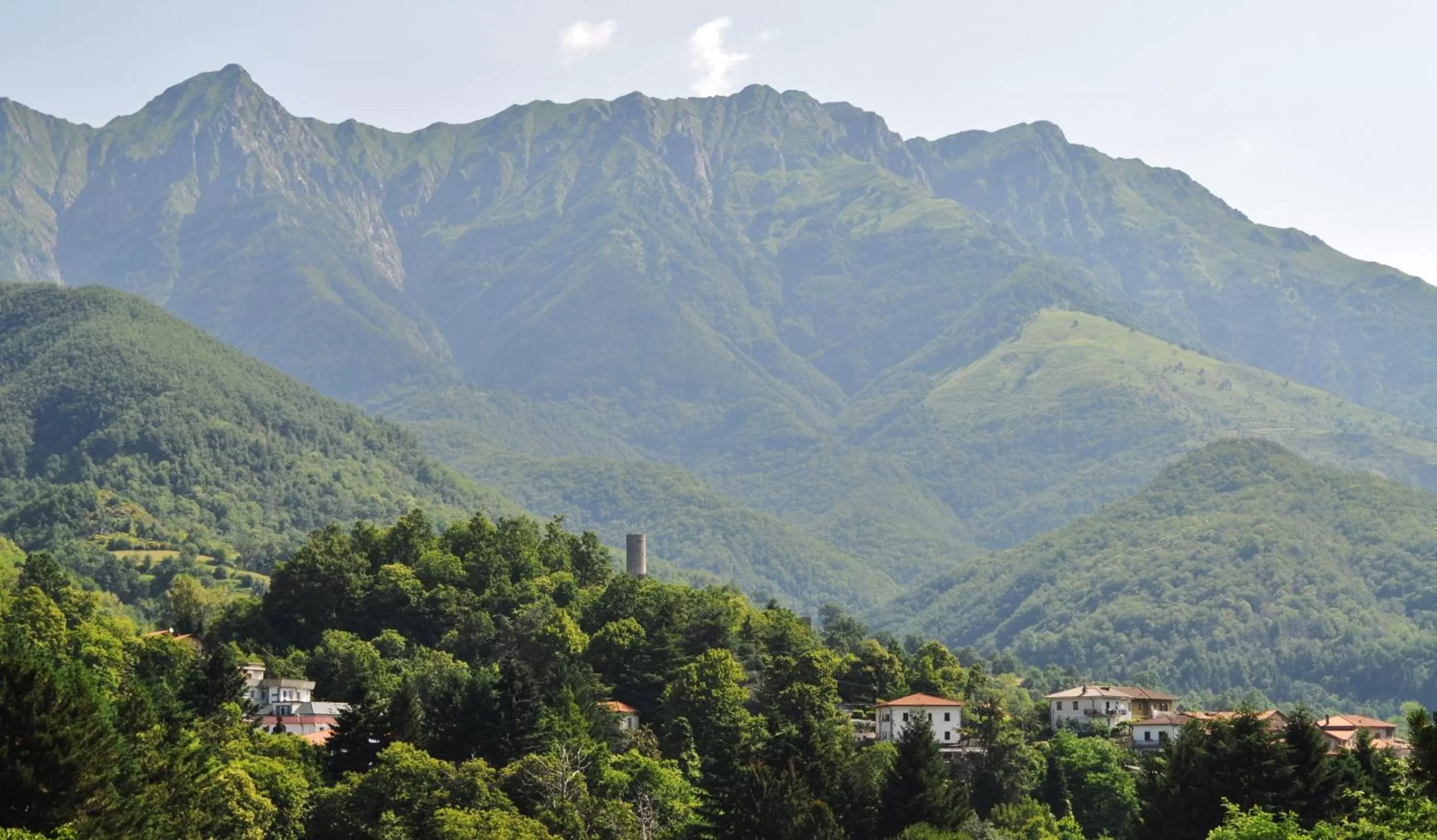 Area and facilities in Albergo Miramonti