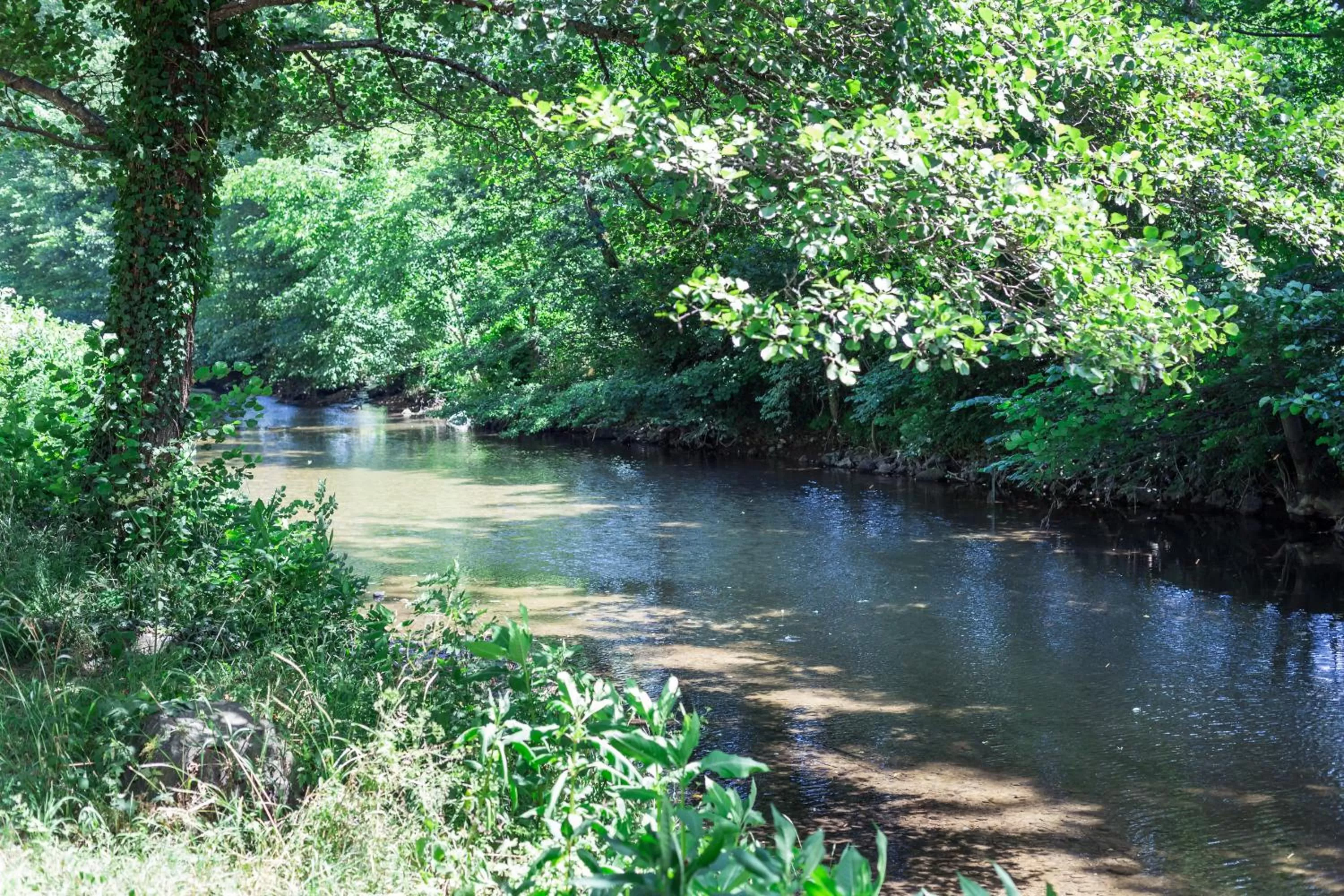 River view in Le Kino Panorama