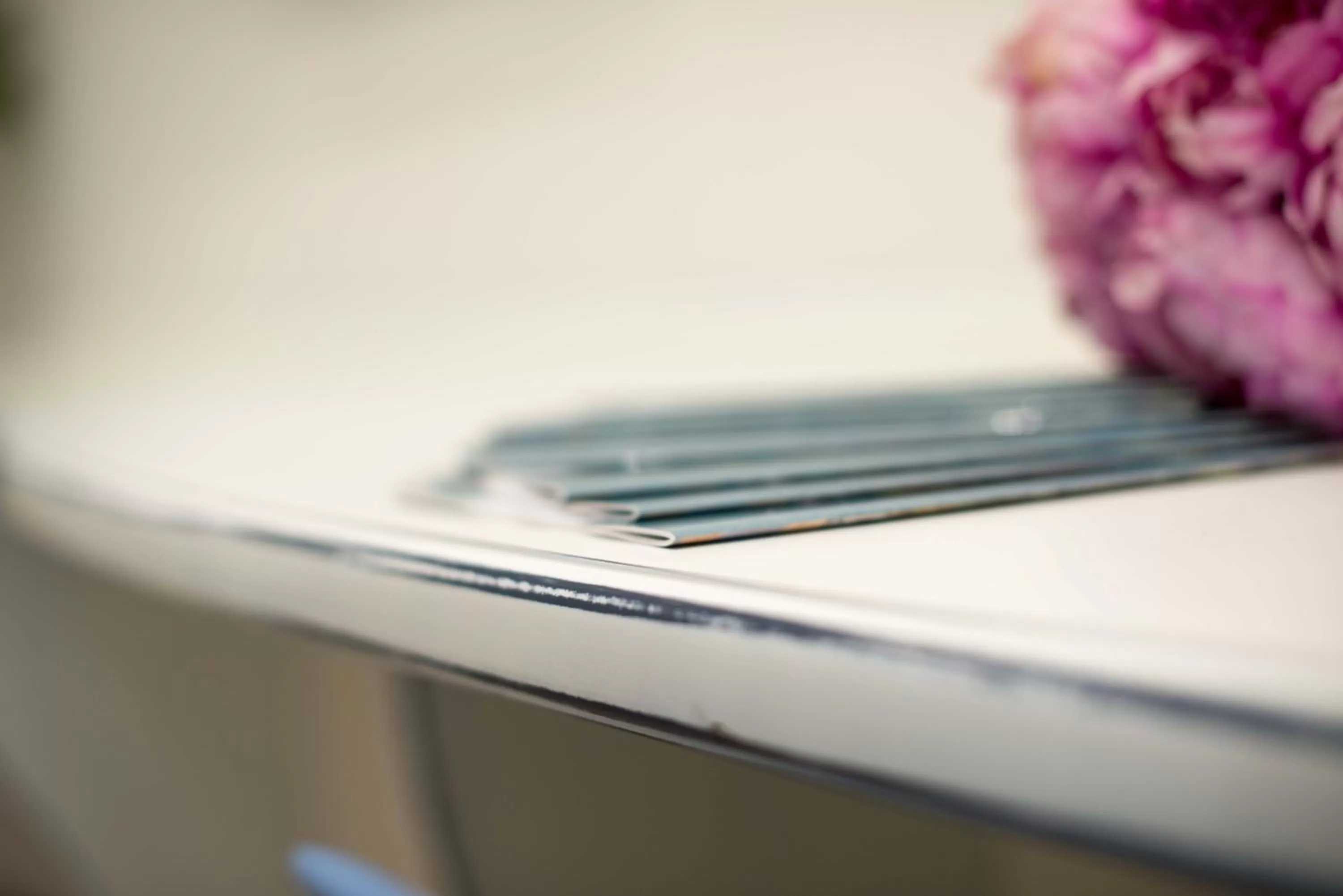 Decorative detail in Nolana '86