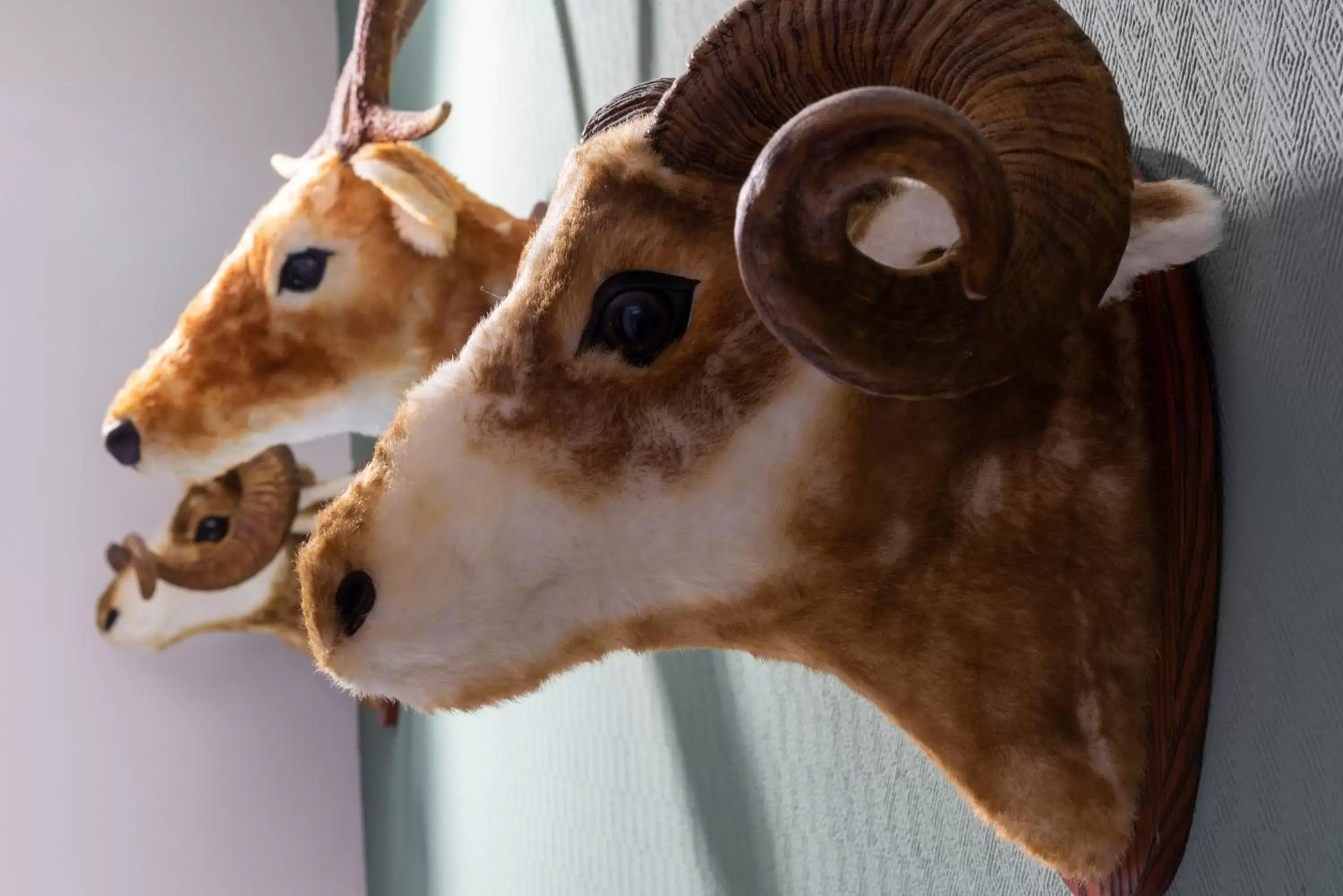 Single Room in Wyndham Garden Donaueschingen Single Room in Wyndham Garden Donaueschingen