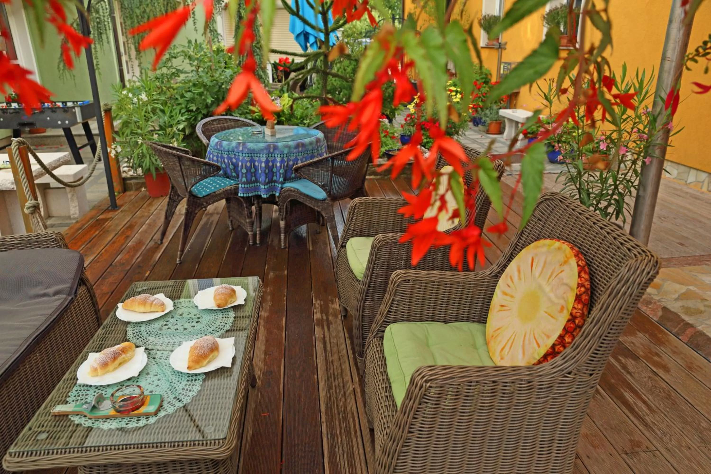 Garden in Hostel Sonce