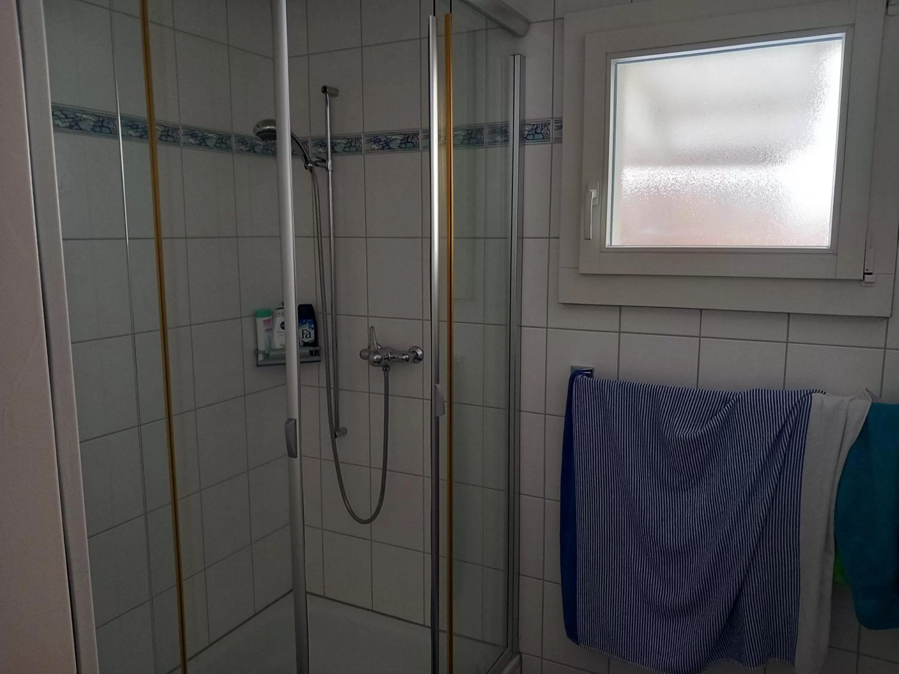 Shower, Bathroom in Gasthof Schnittweierbad