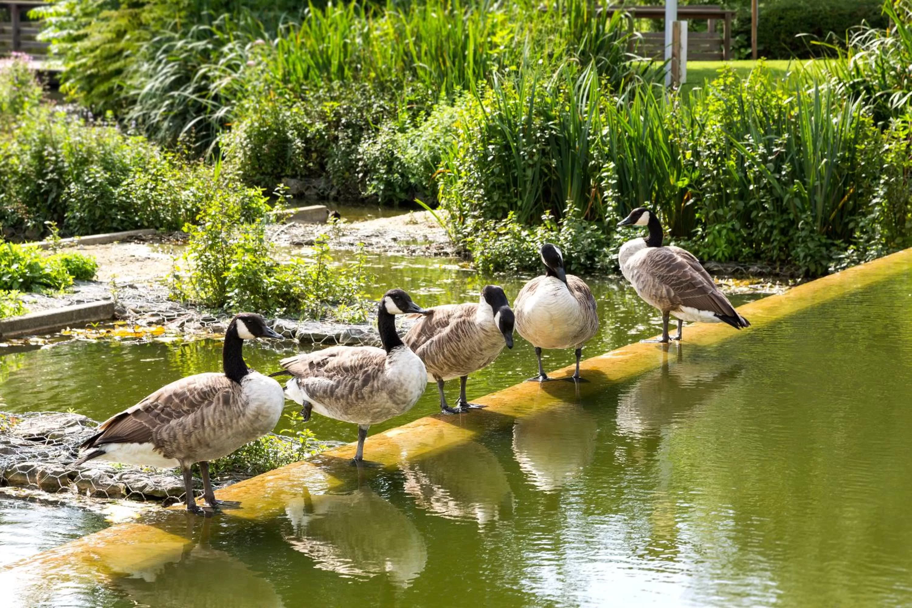 Other in Crowne Plaza Brussels Airport by IHG