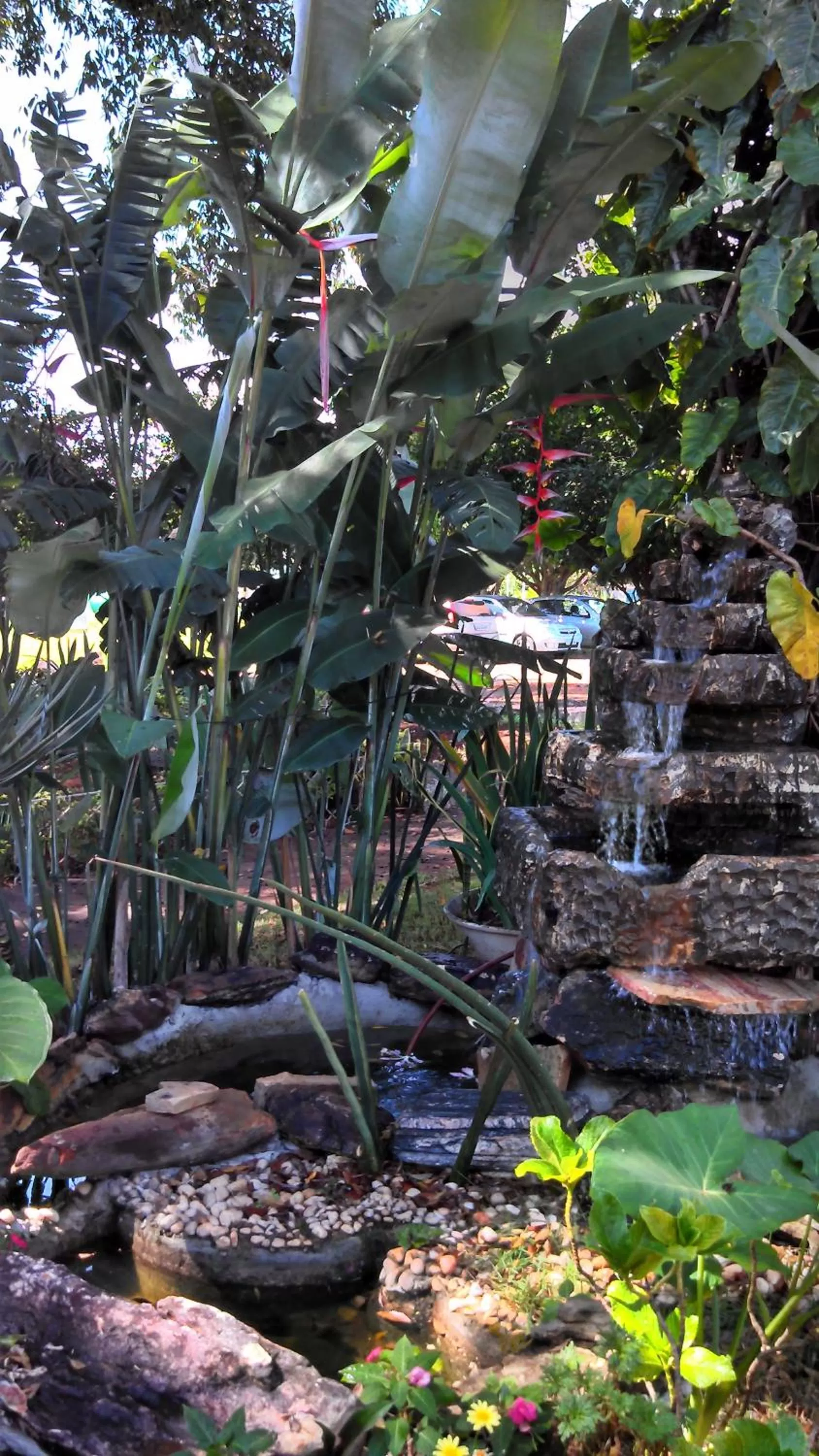 Garden view in KzaZendf Cama e Cafe Asa Sul